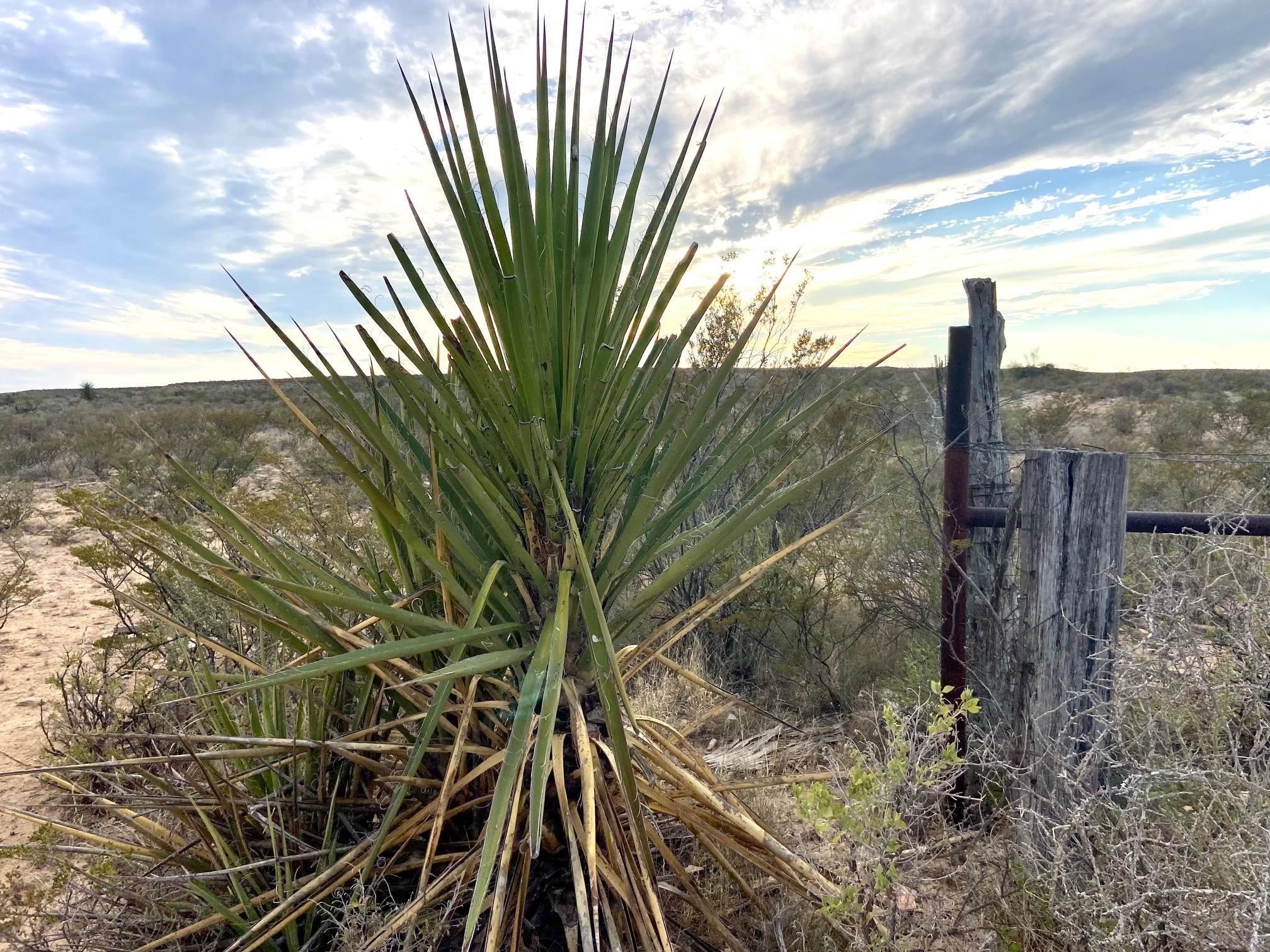 Details for Rr 1865  , Comstock, TX 78837