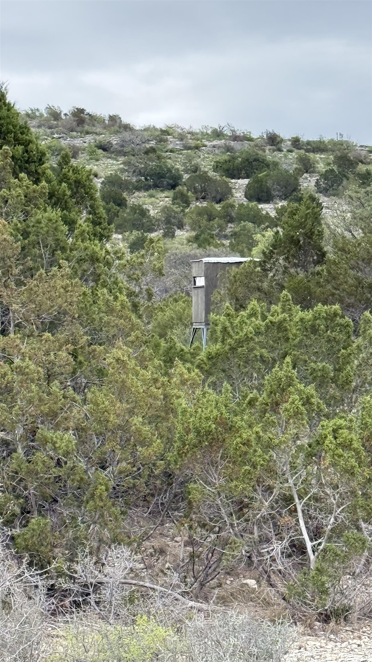 Image 11 of 17 For Tract 15 West Fork