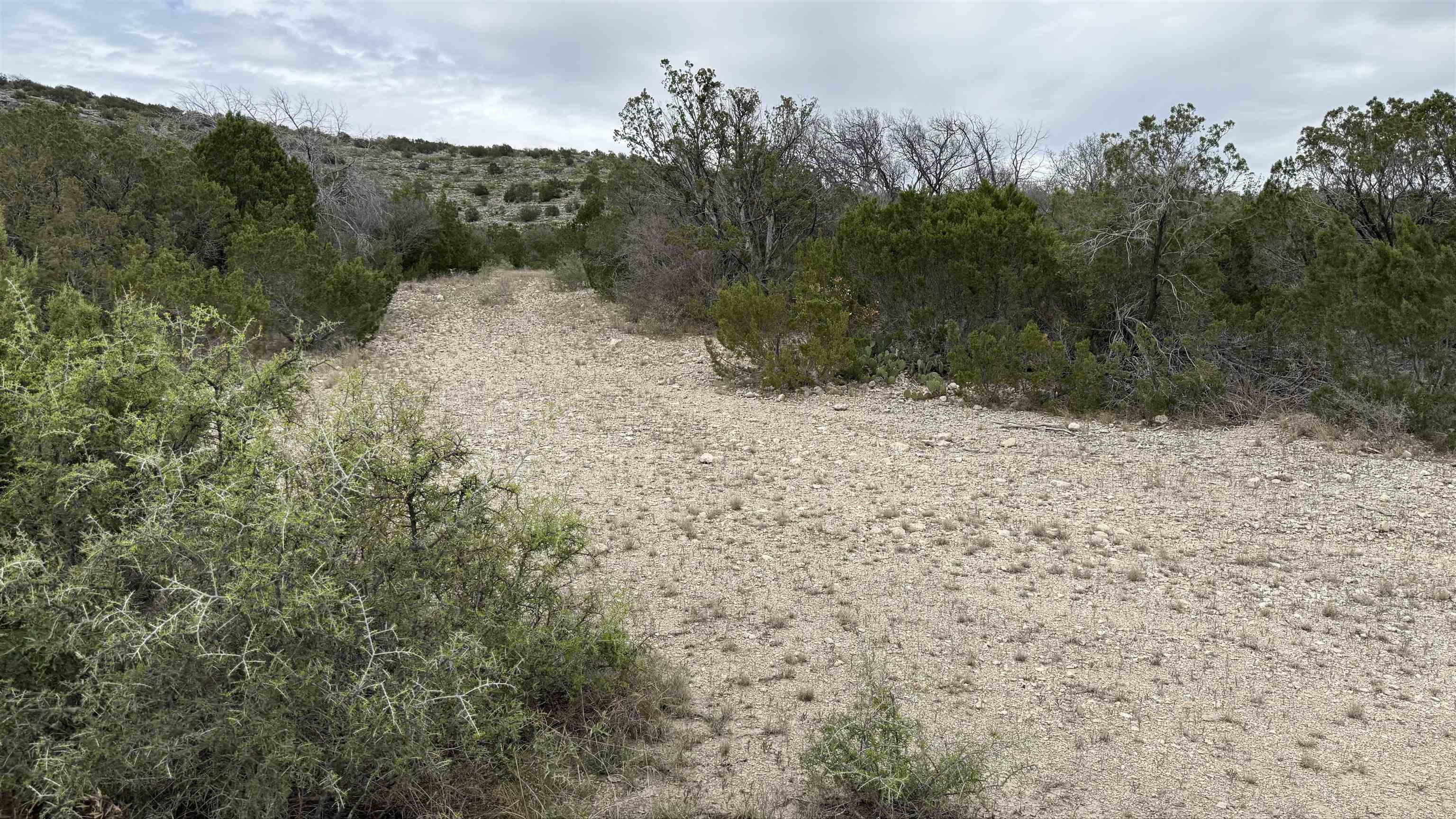 Image 9 of 17 For Tract 15 West Fork
