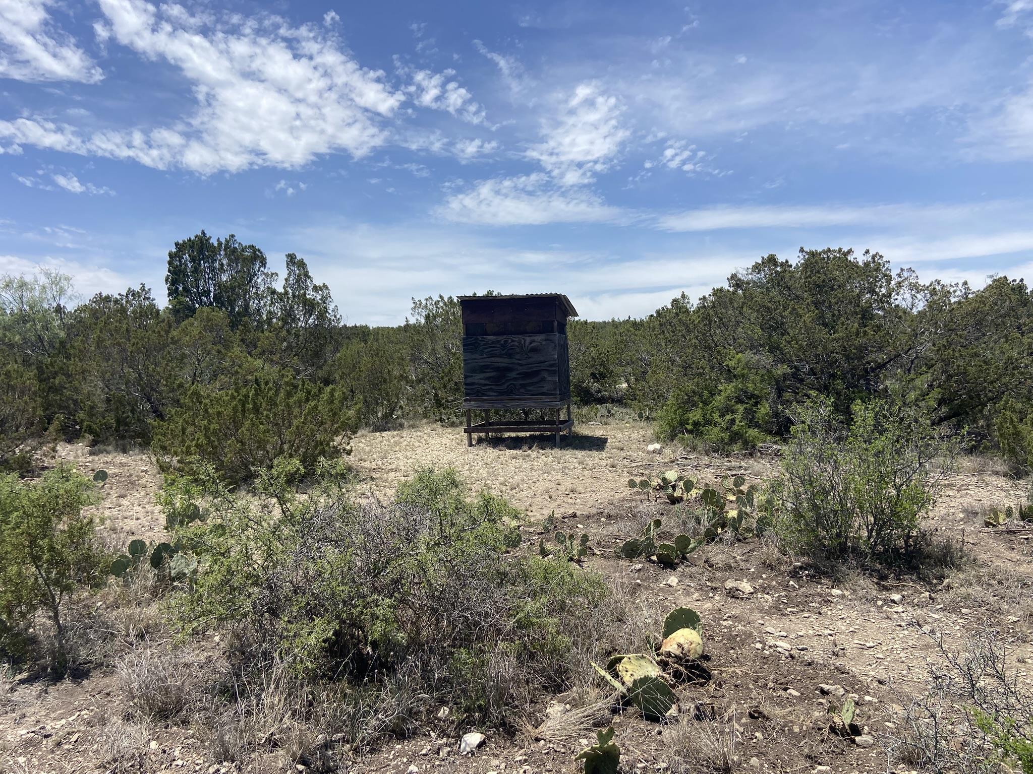 Image 13 of 50 For 1697 Van Cleef