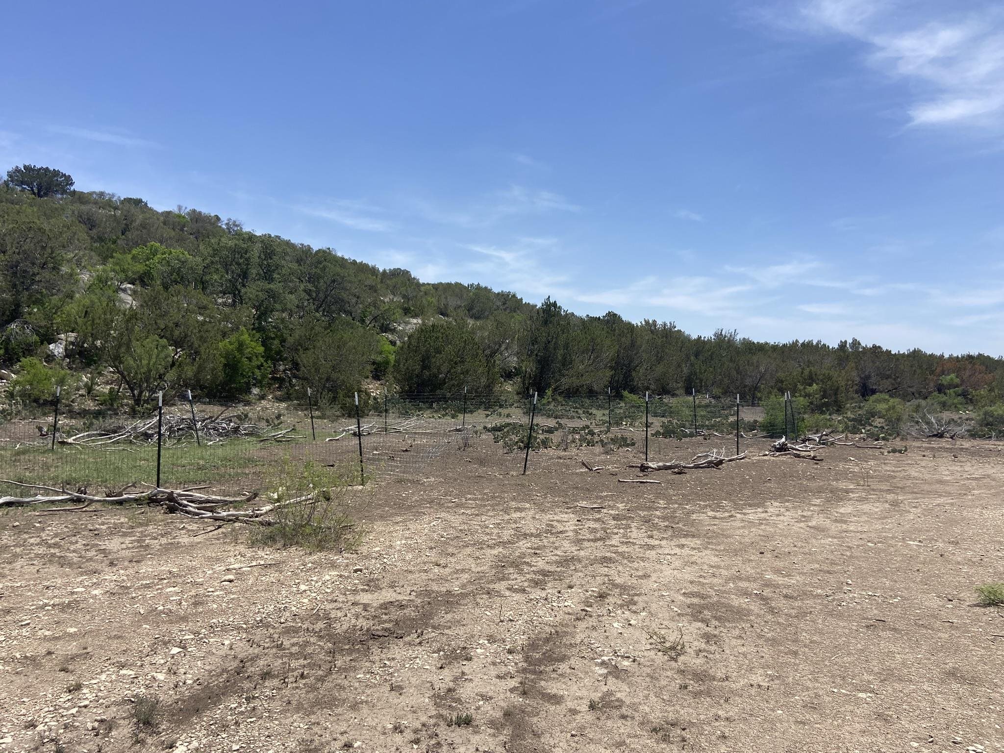 Image 14 of 50 For 1697 Van Cleef