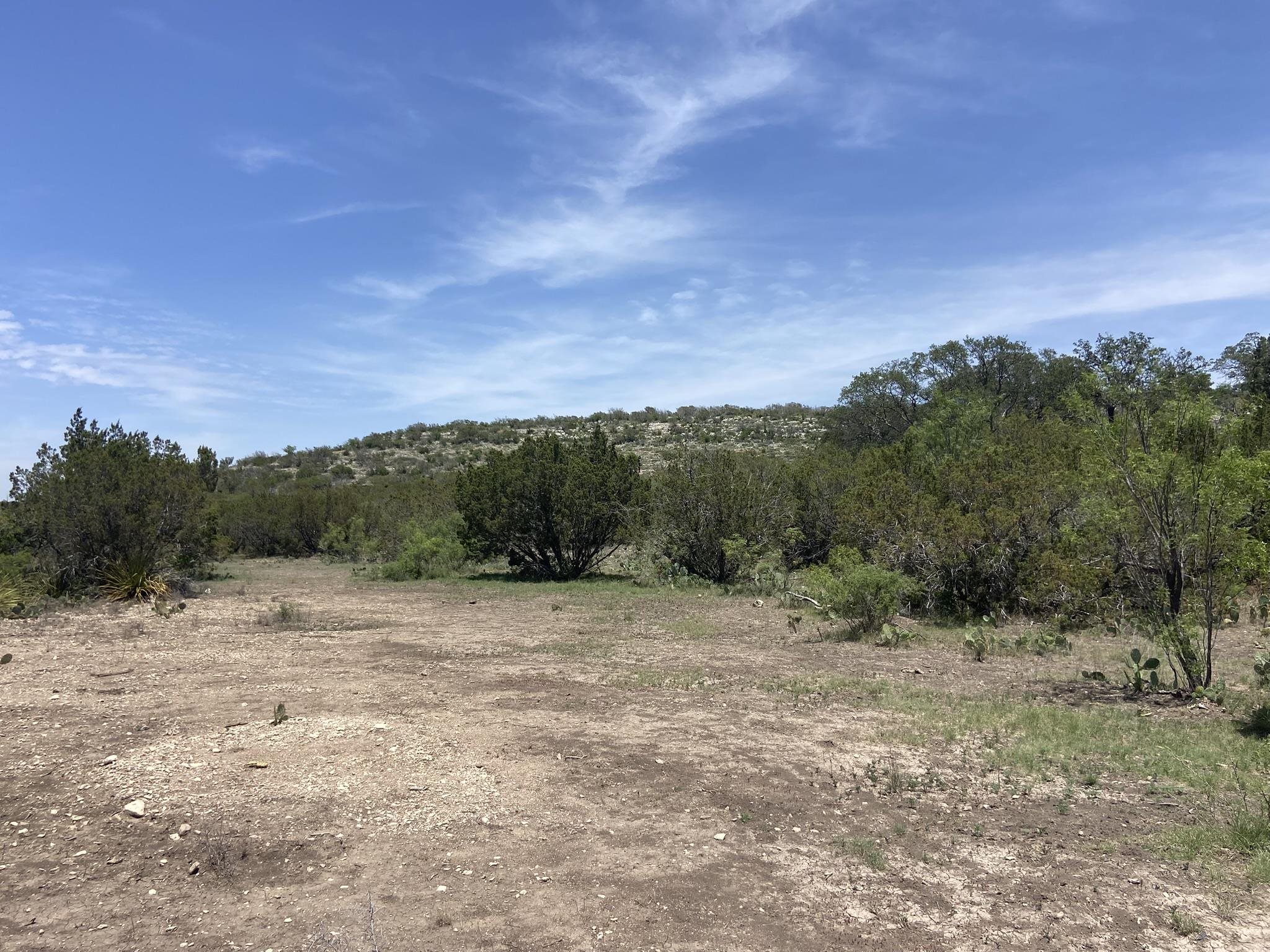 Image 16 of 50 For 1697 Van Cleef