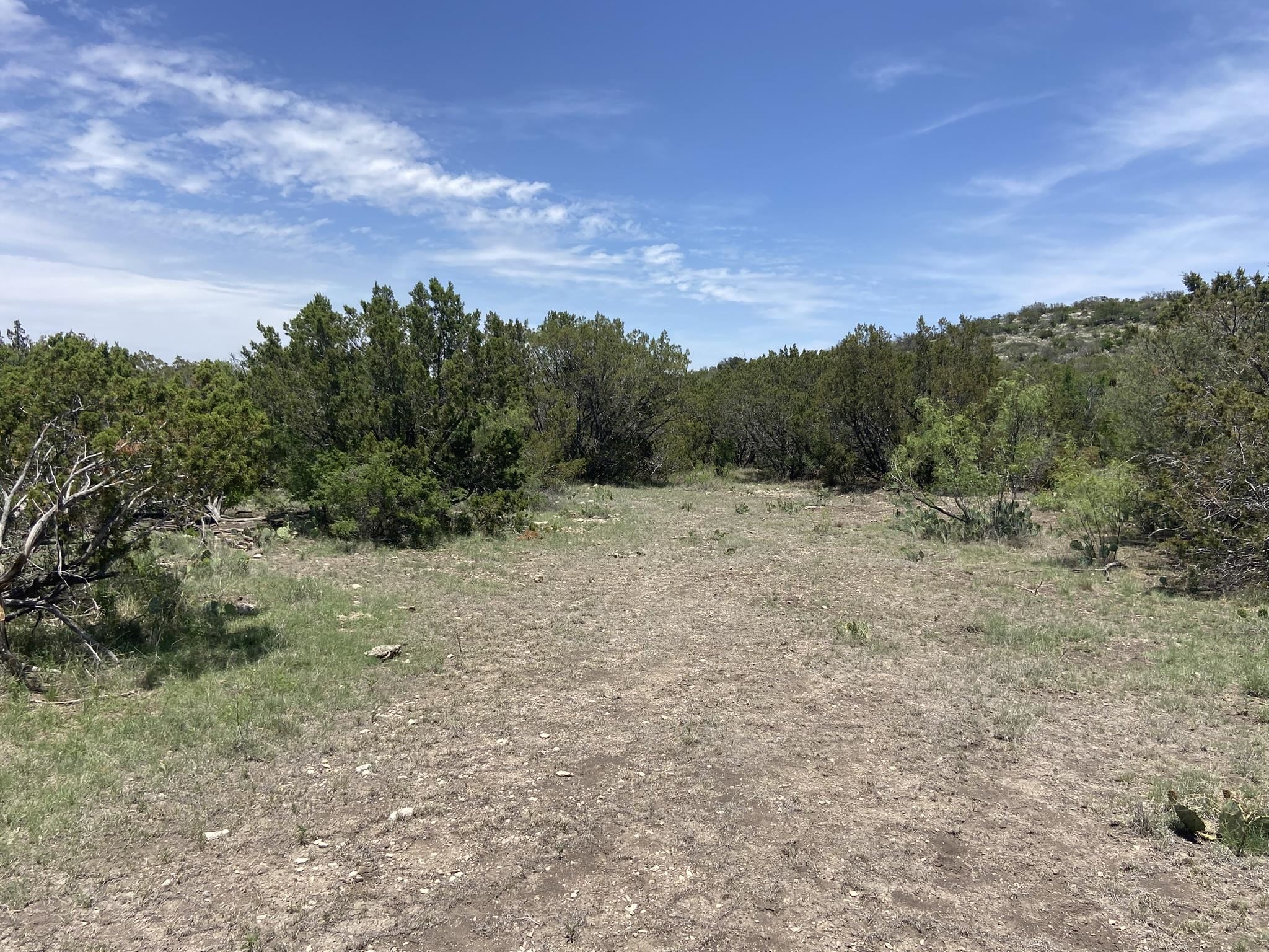 Image 17 of 50 For 1697 Van Cleef