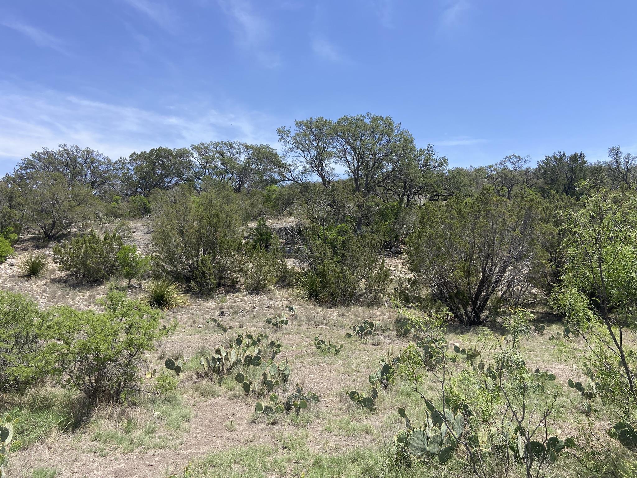 Image 18 of 50 For 1697 Van Cleef