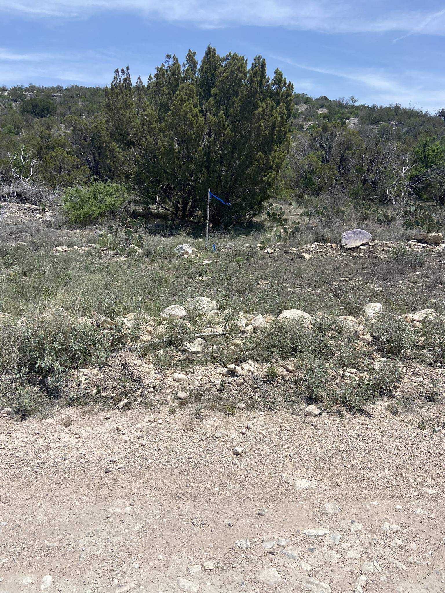 Image 19 of 50 For 1697 Van Cleef