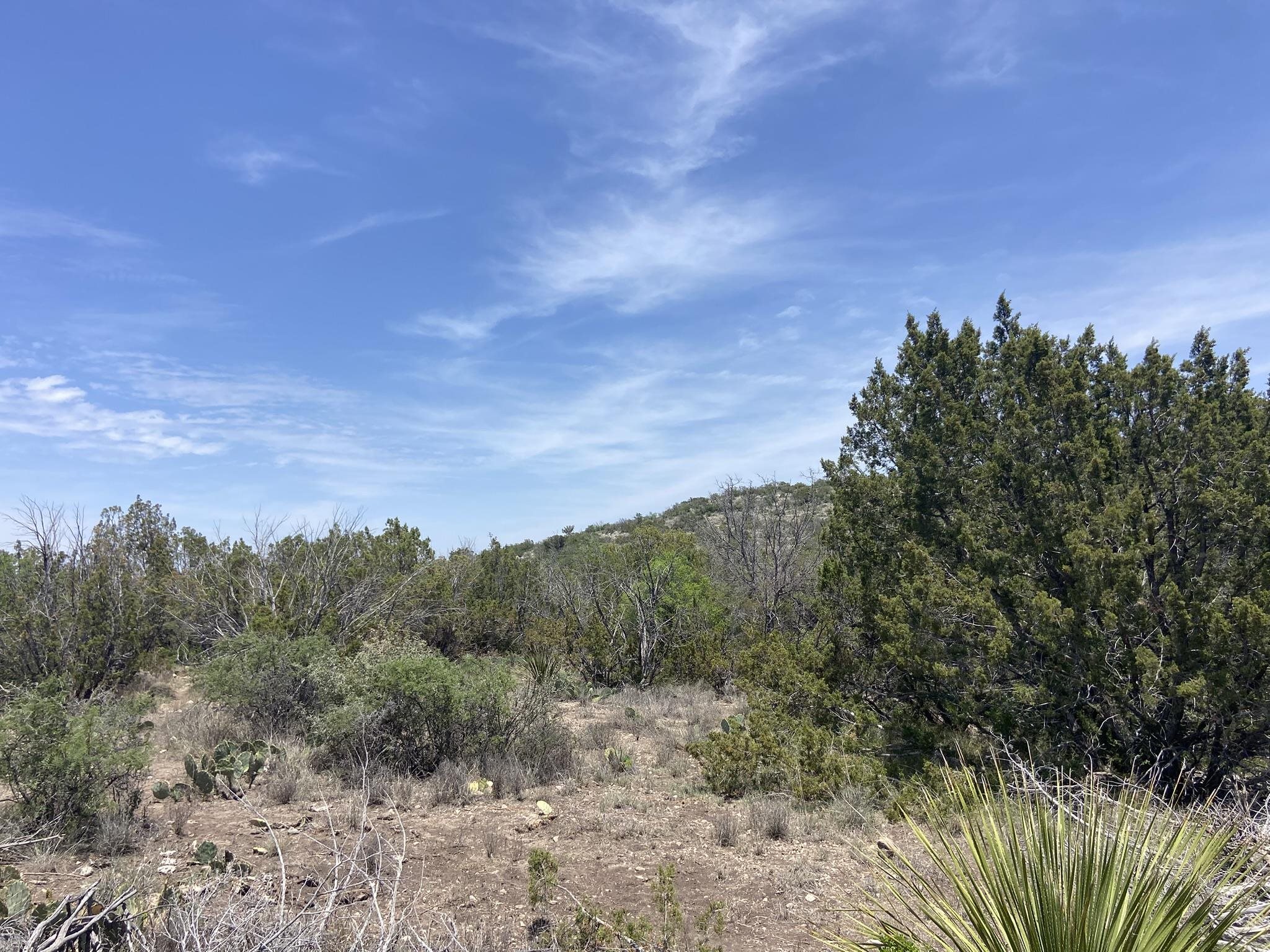 Image 2 of 50 For 1697 Van Cleef