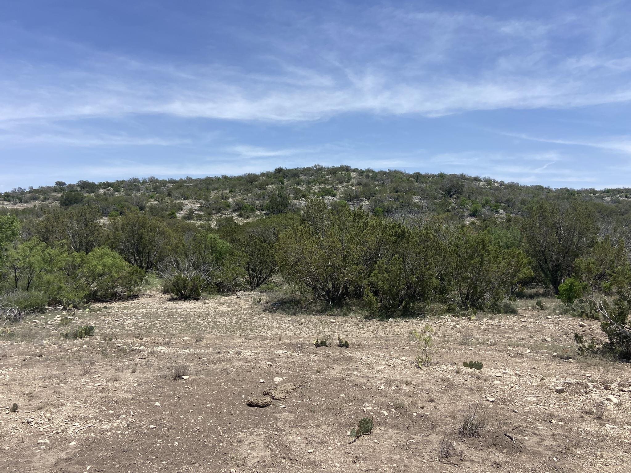 Image 20 of 50 For 1697 Van Cleef