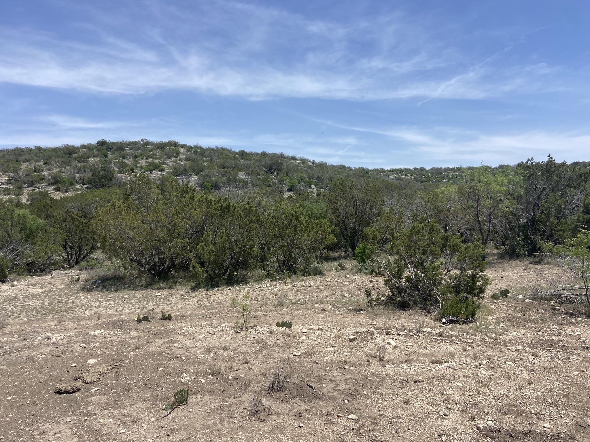 Image 21 of 50 For 1697 Van Cleef