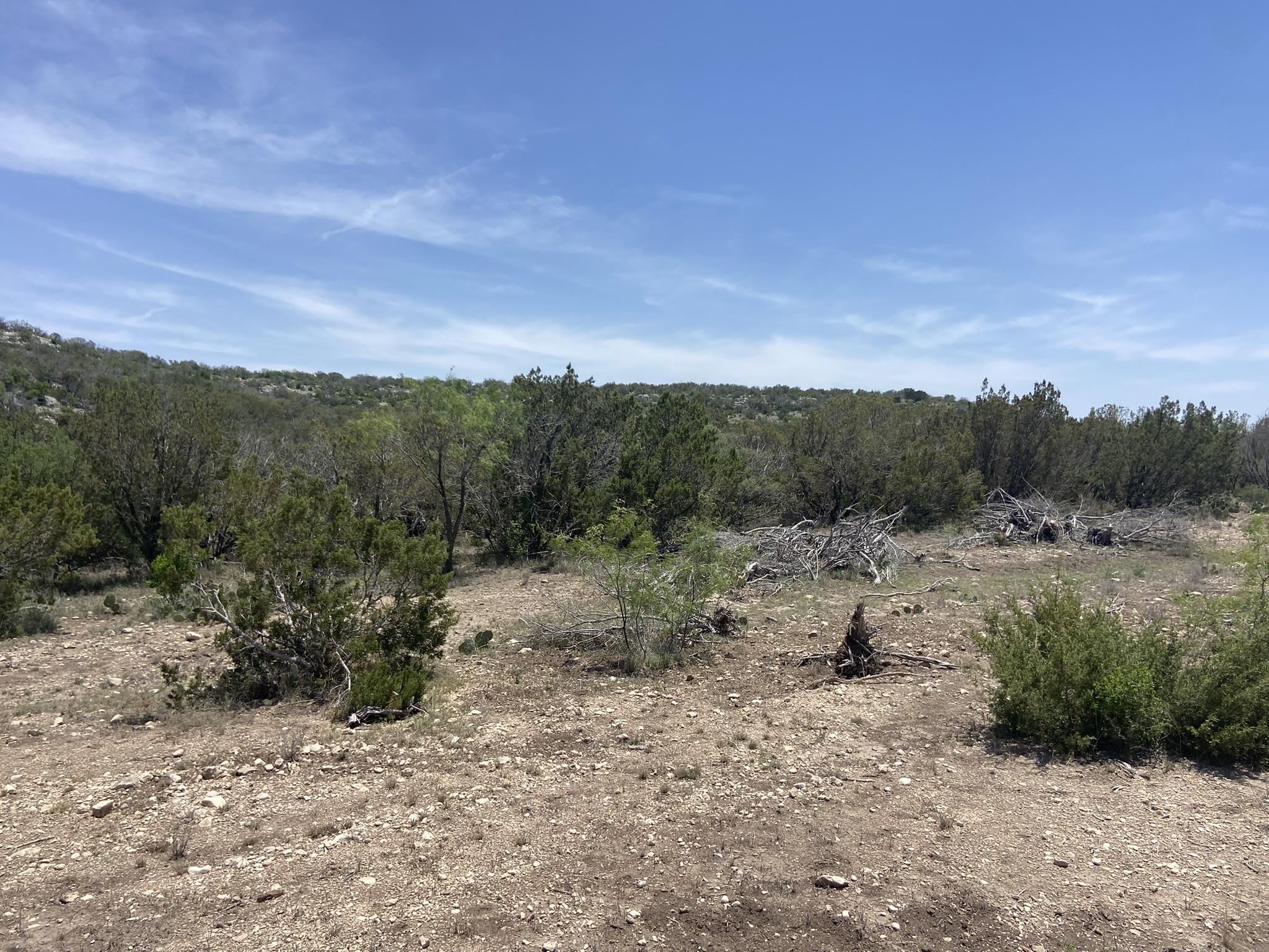 Image 22 of 50 For 1697 Van Cleef