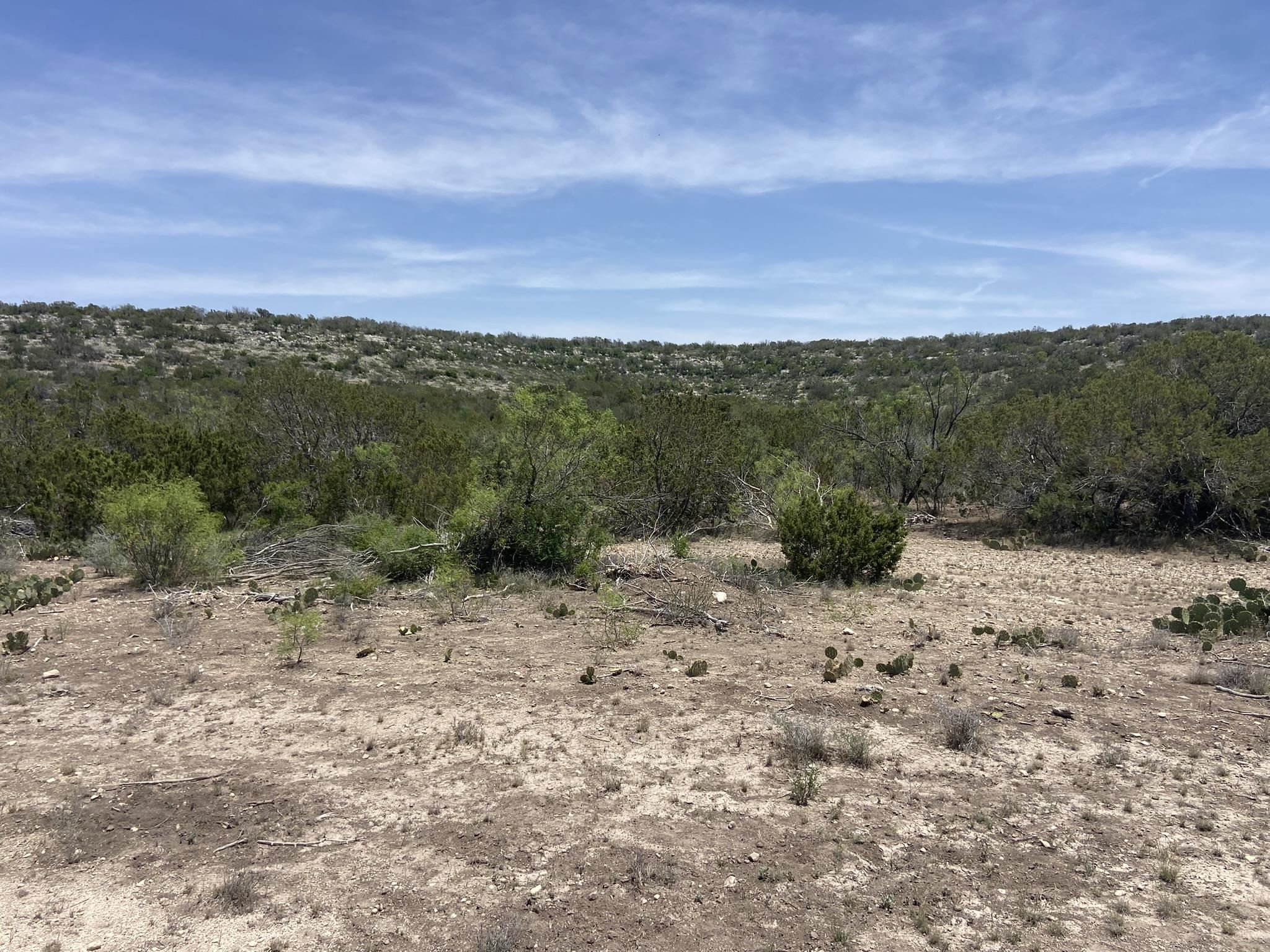 Image 24 of 50 For 1697 Van Cleef