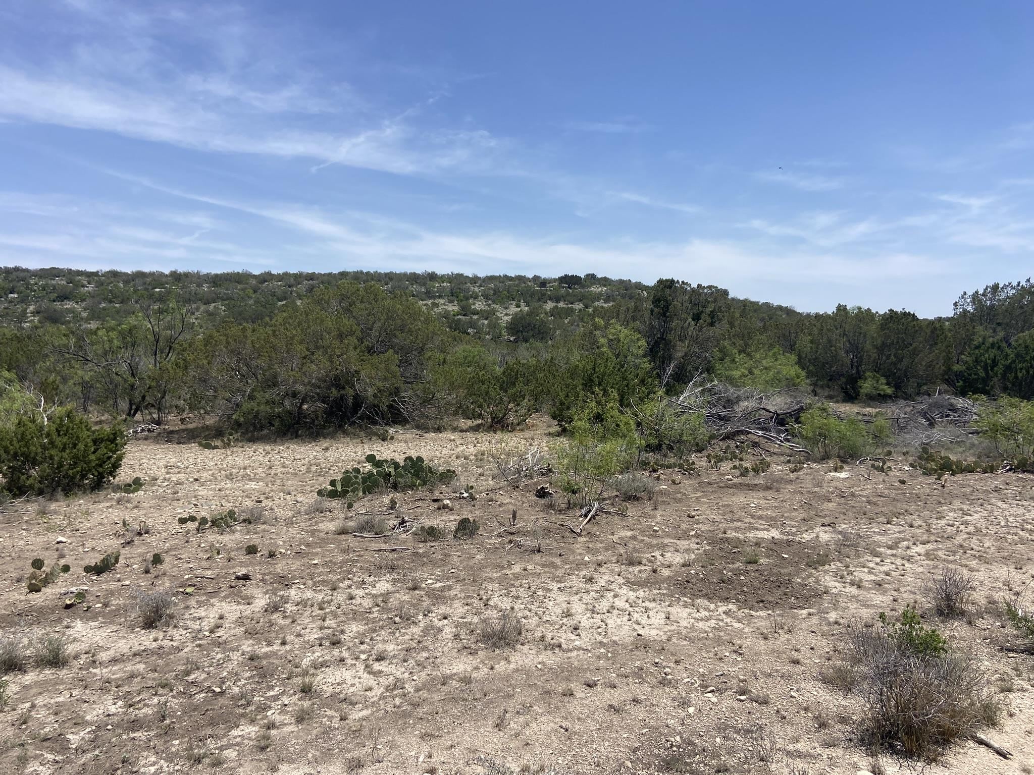 Image 26 of 50 For 1697 Van Cleef