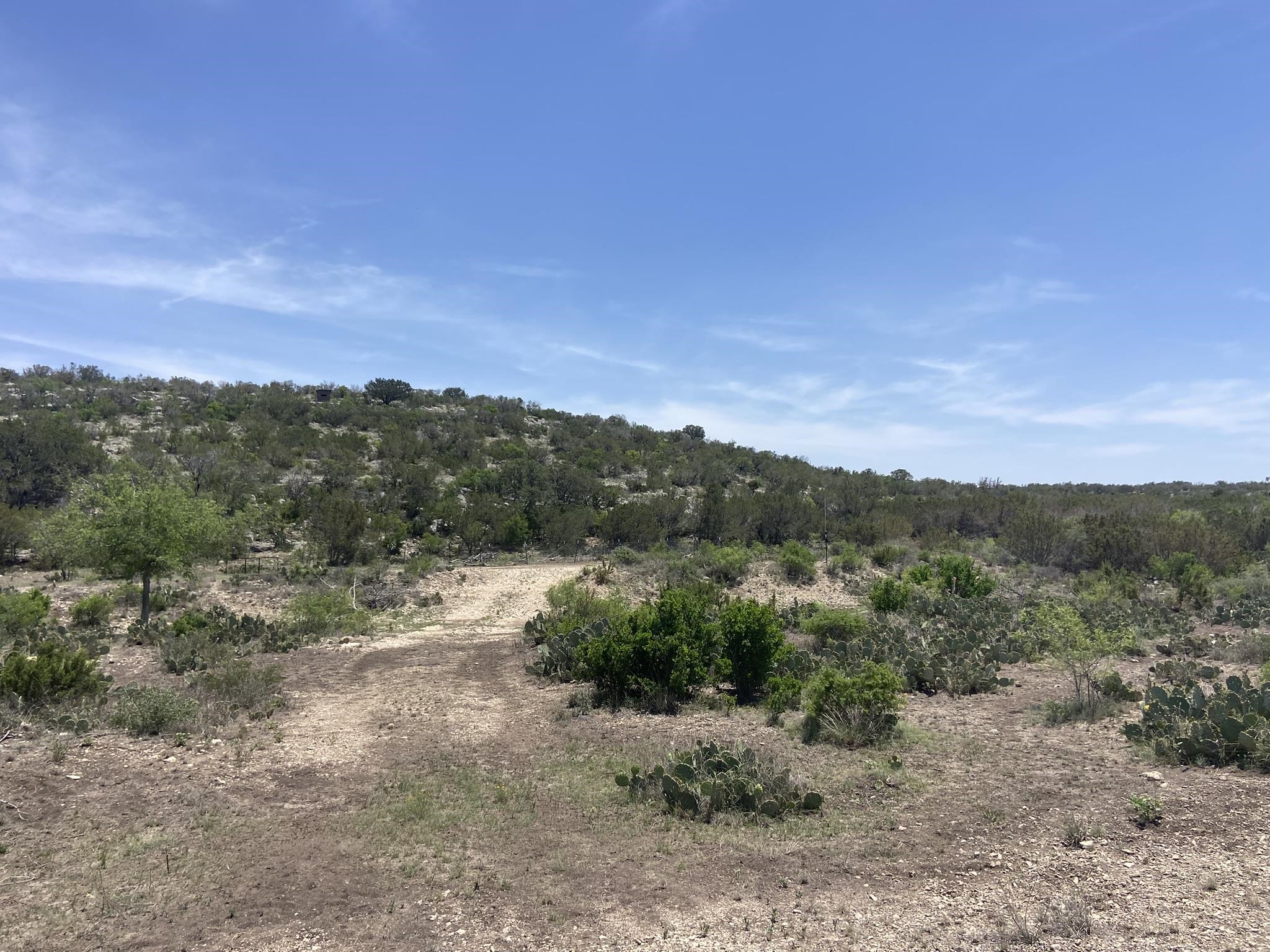 Image 30 of 50 For 1697 Van Cleef