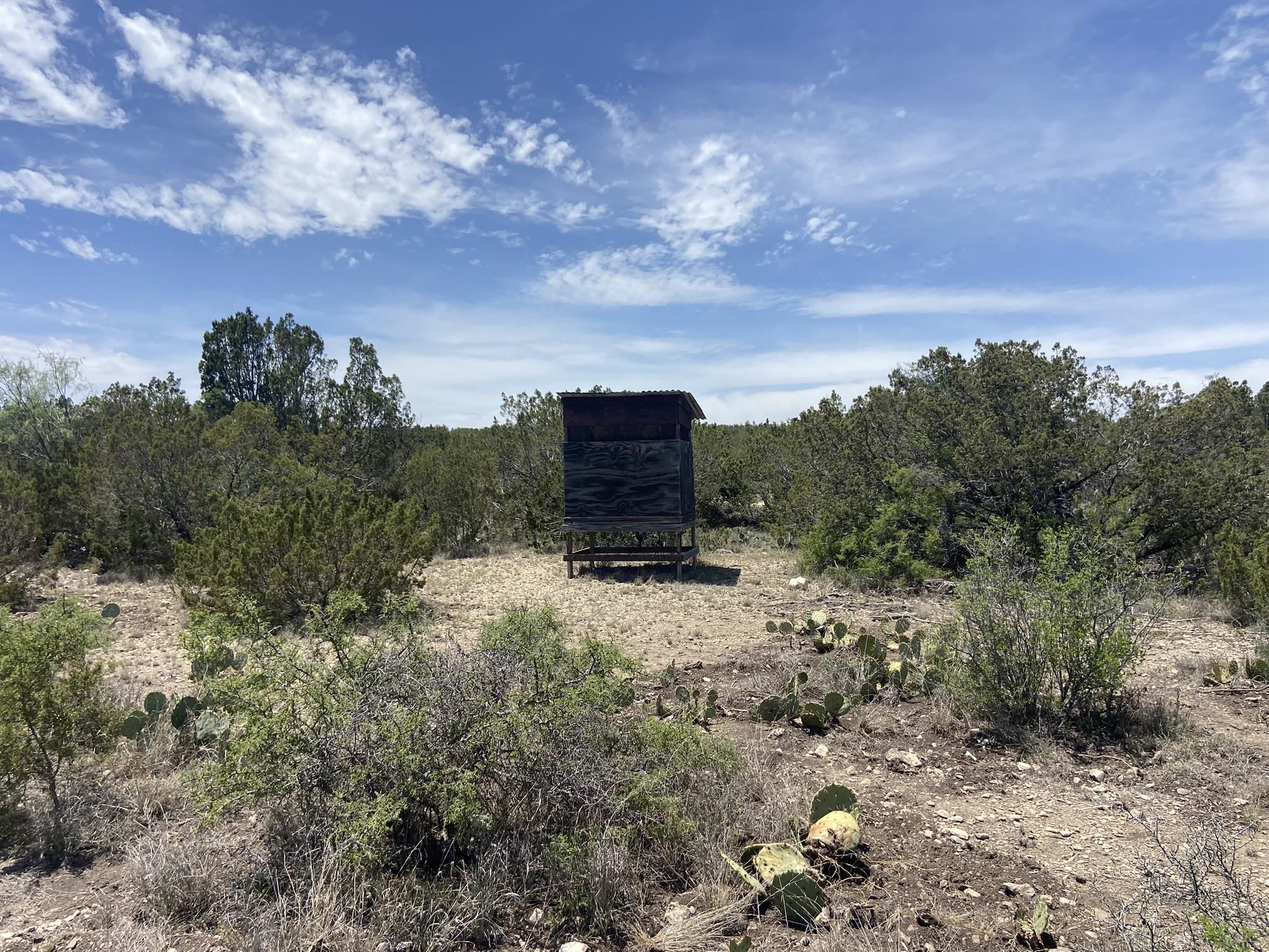 Image 31 of 50 For 1697 Van Cleef