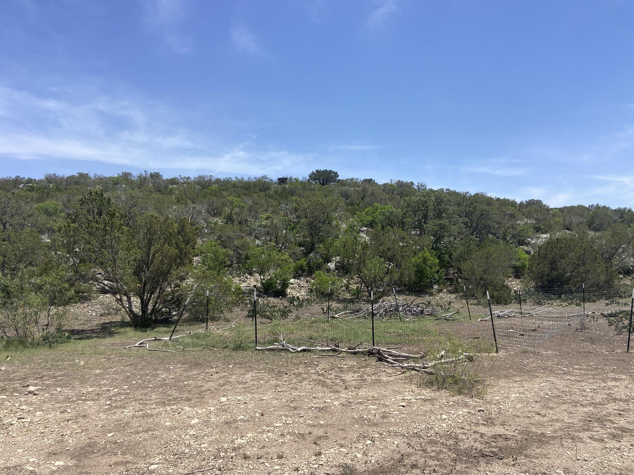 Image 35 of 50 For 1697 Van Cleef