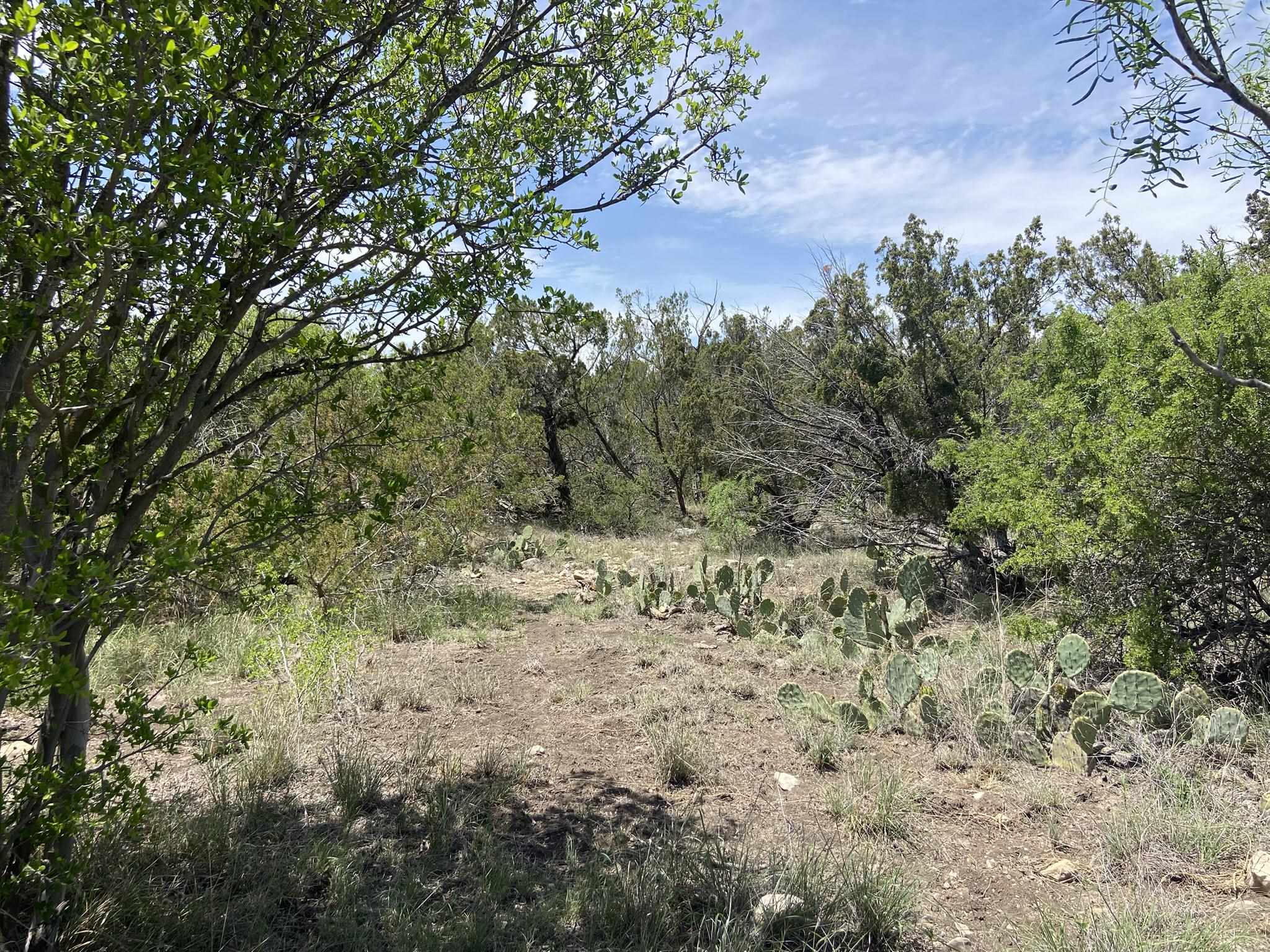 Image 39 of 50 For 1697 Van Cleef