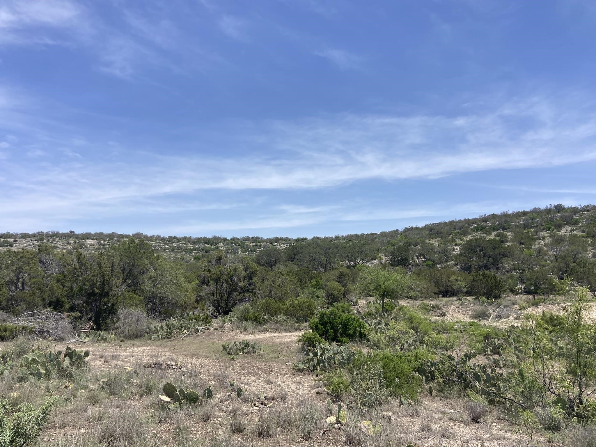 Image 4 of 50 For 1697 Van Cleef