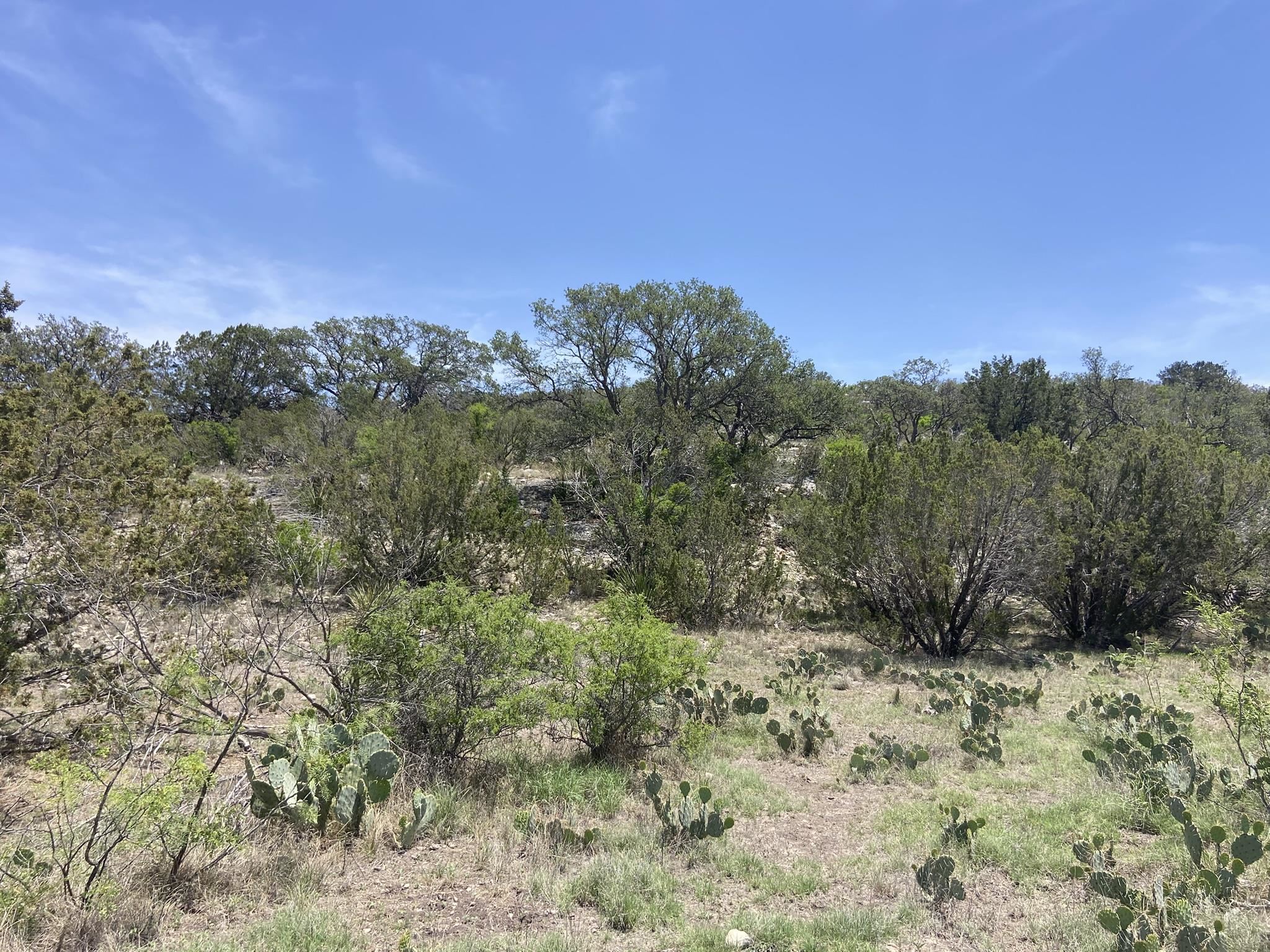 Image 42 of 50 For 1697 Van Cleef