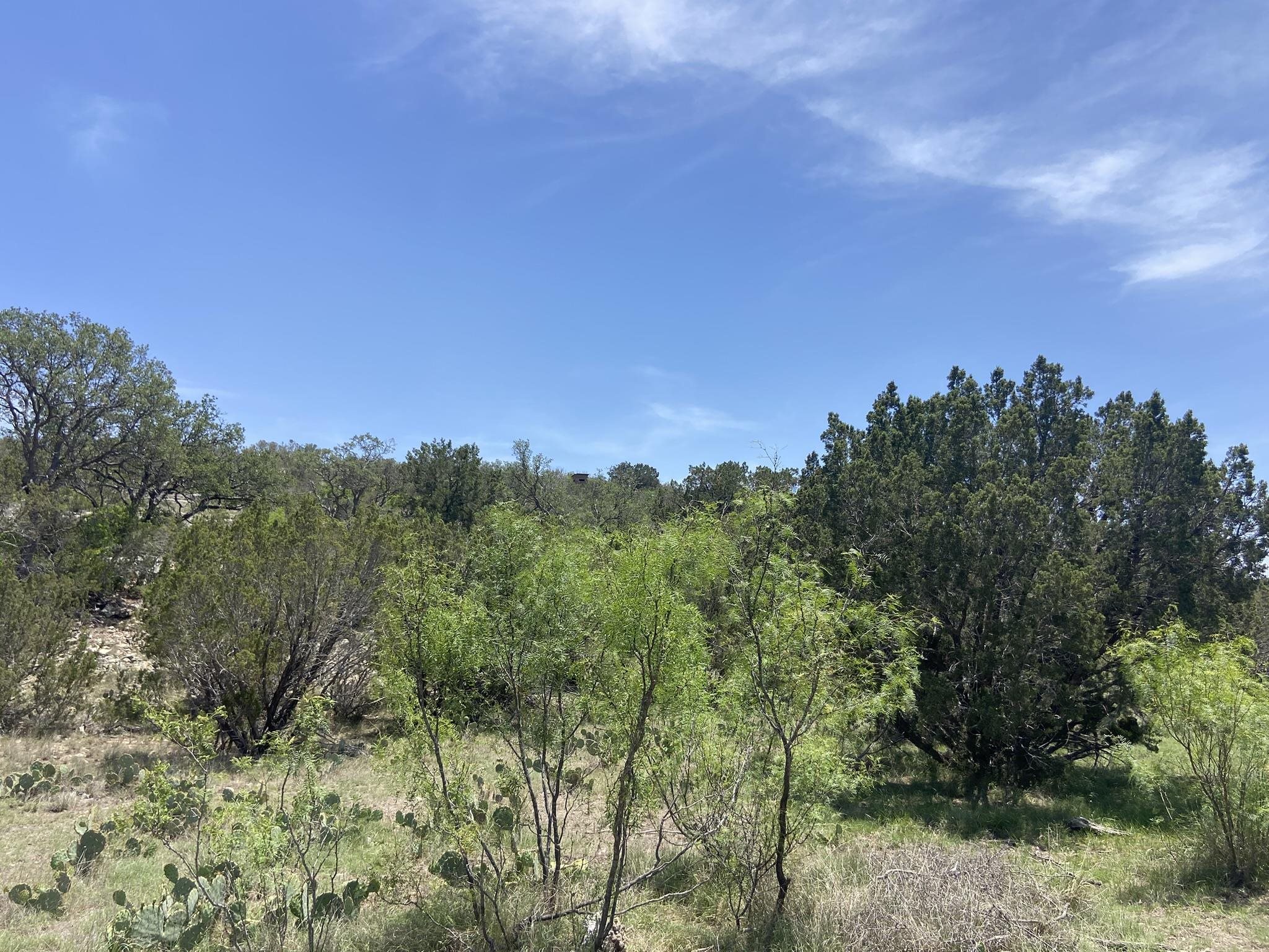 Image 43 of 50 For 1697 Van Cleef