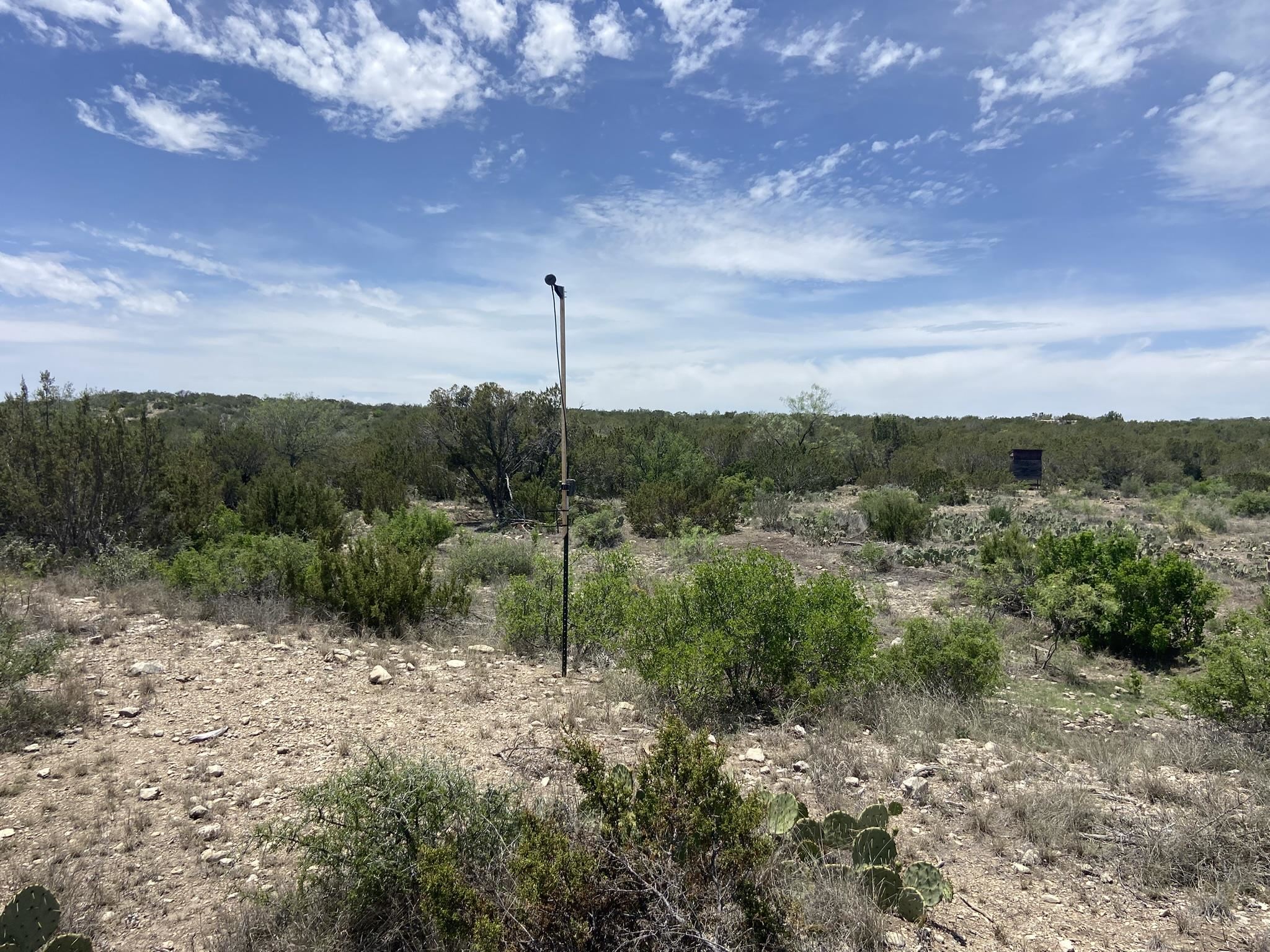 Image 44 of 50 For 1697 Van Cleef