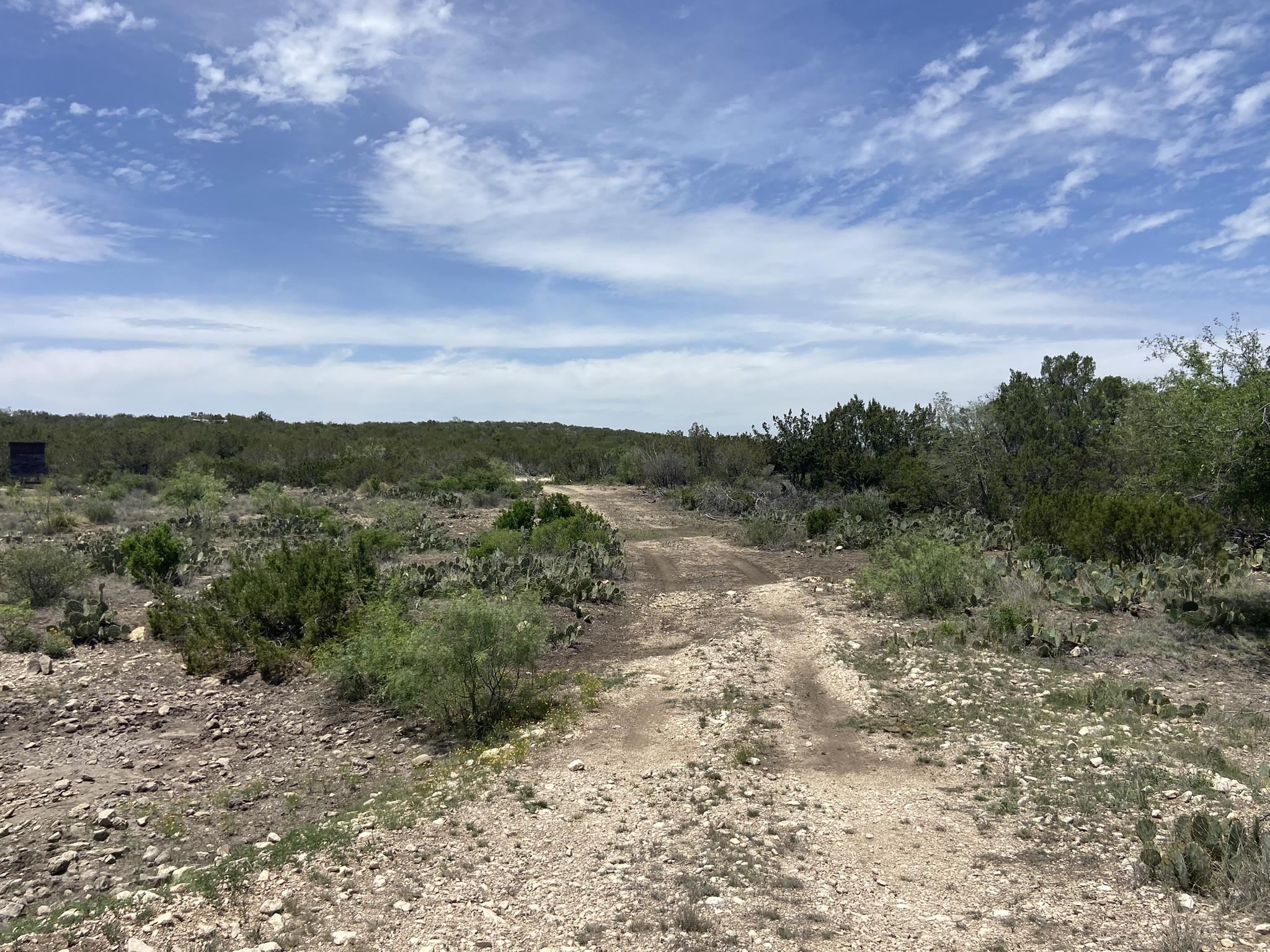 Image 45 of 50 For 1697 Van Cleef