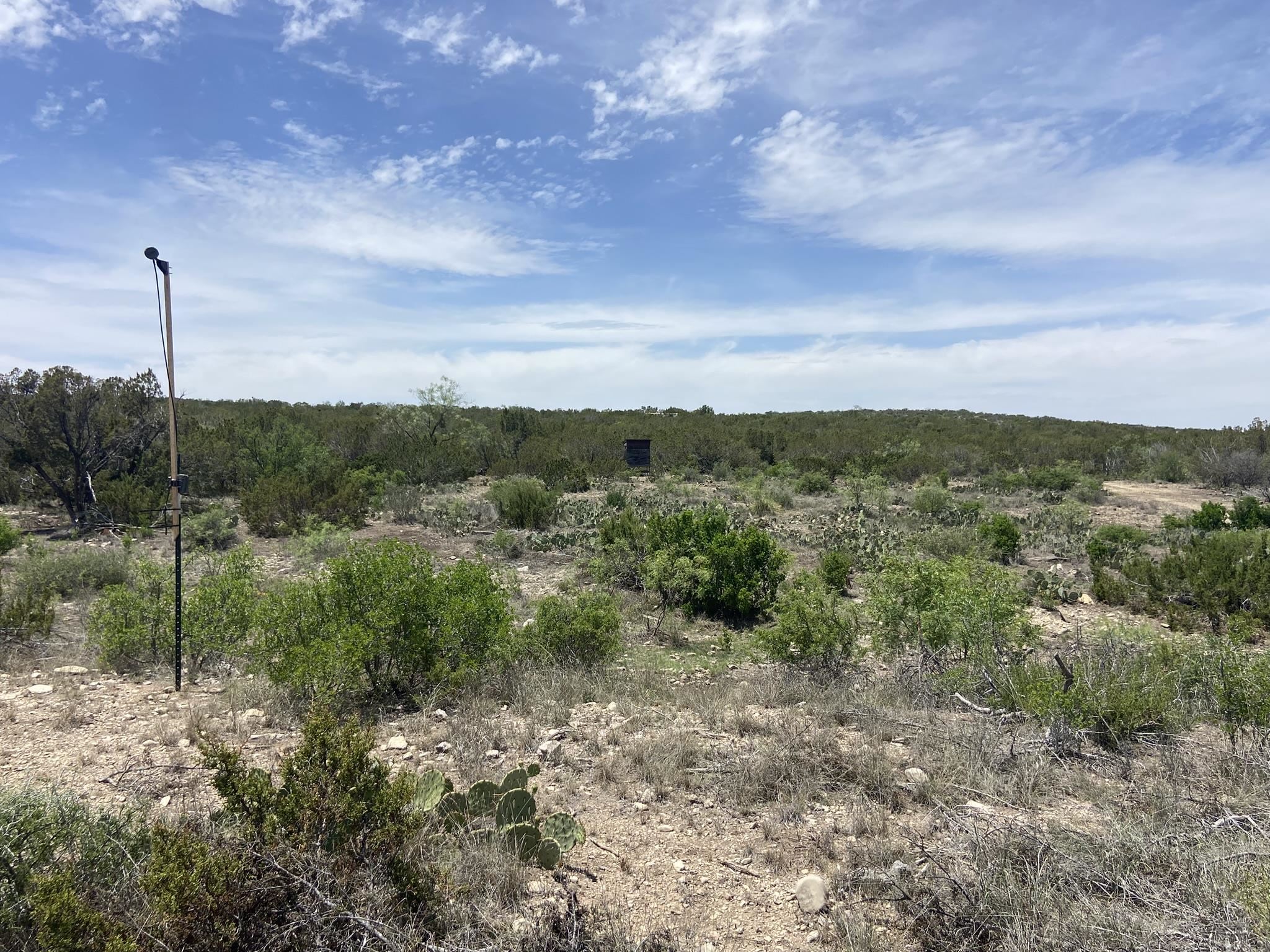 Image 46 of 50 For 1697 Van Cleef