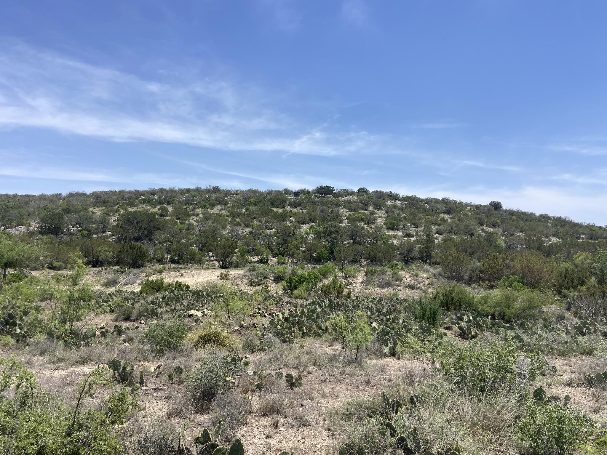 Image 5 of 50 For 1697 Van Cleef