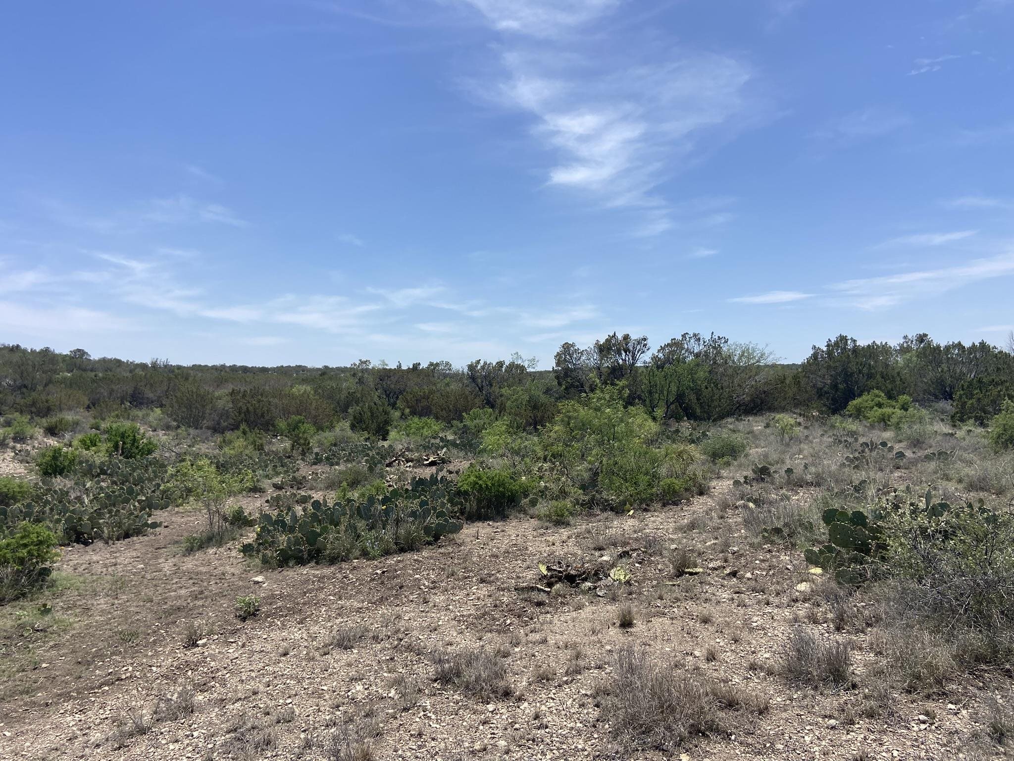 Image 6 of 50 For 1697 Van Cleef