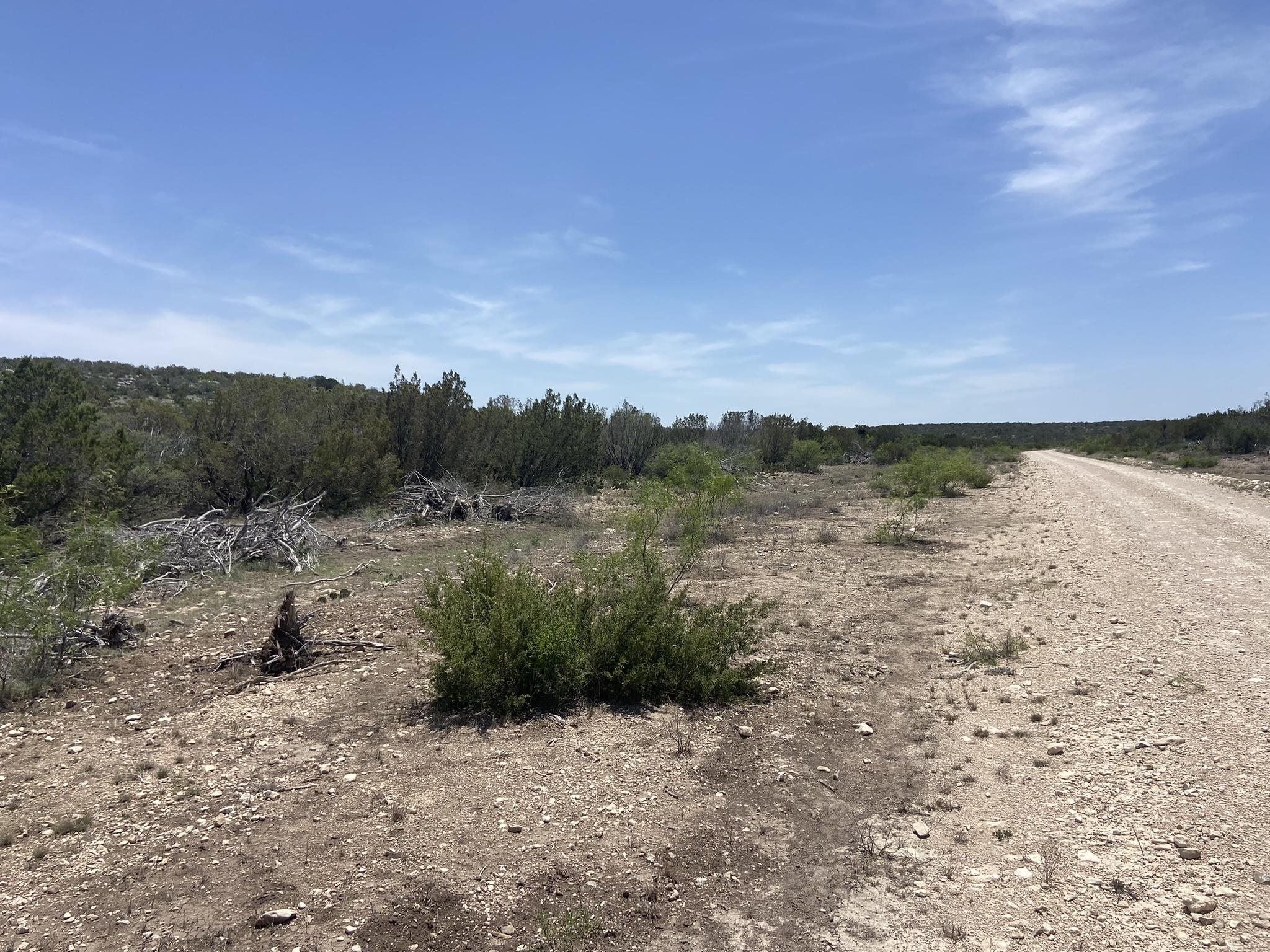 Image 7 of 50 For 1697 Van Cleef