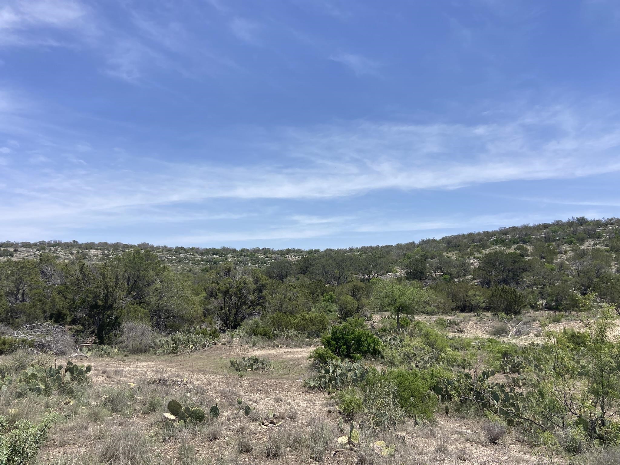 Image 8 of 50 For 1697 Van Cleef