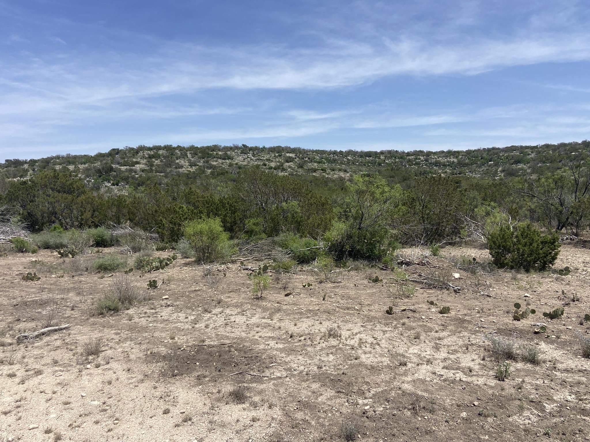 Image 9 of 50 For 1697 Van Cleef