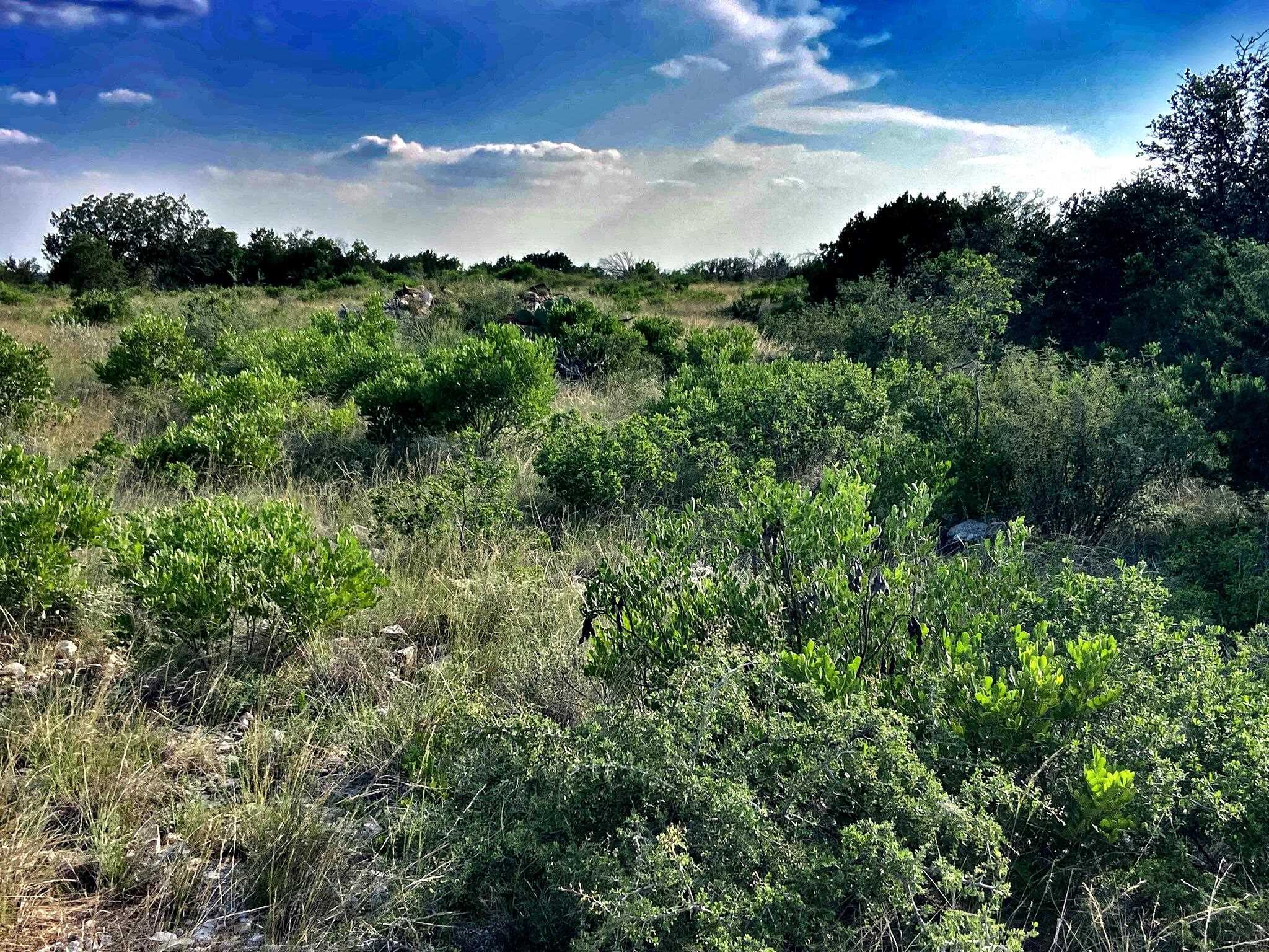 Image 12 of 49 For 000 J S Murry Ranch