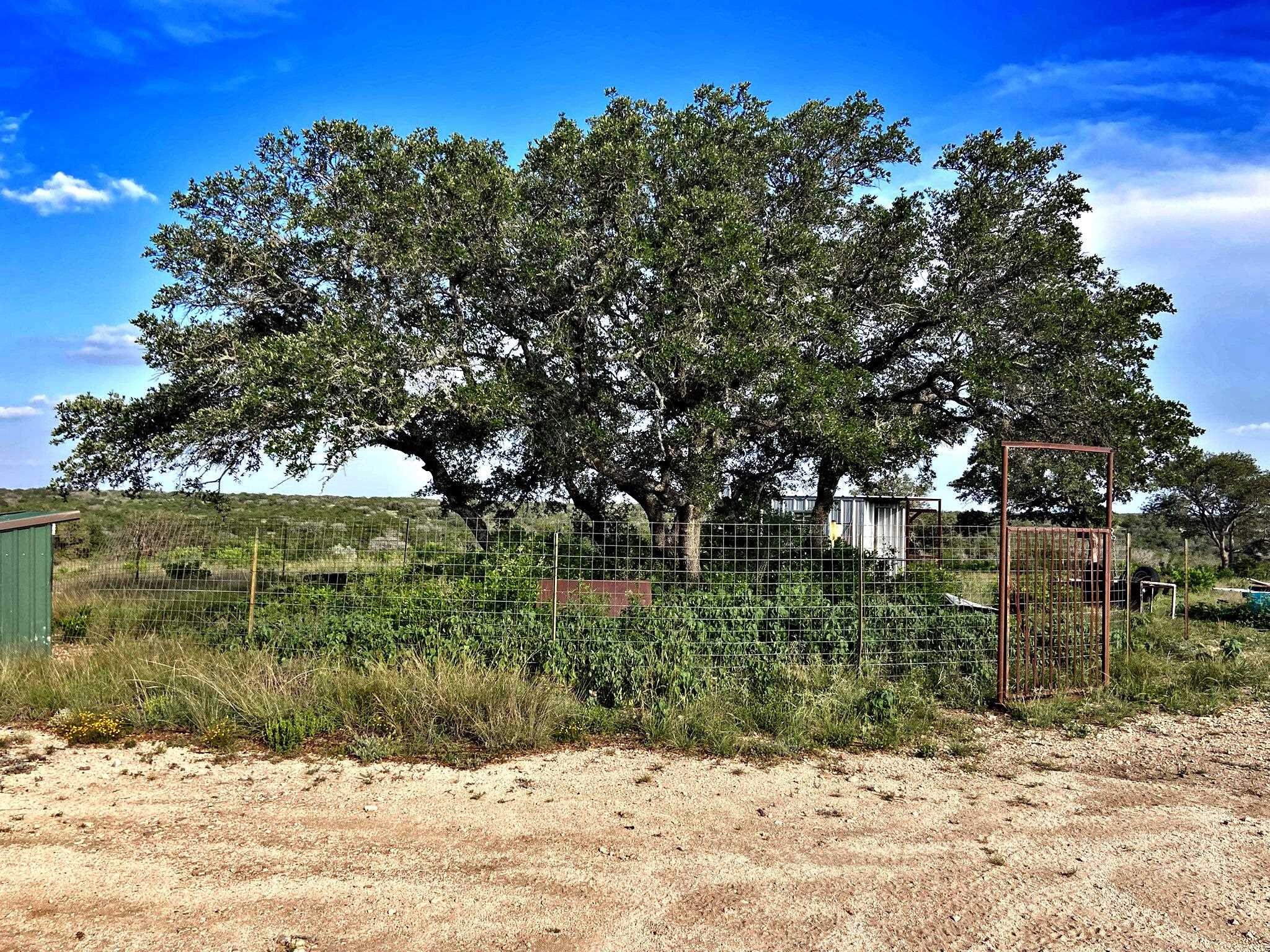 Image 13 of 49 For 000 J S Murry Ranch