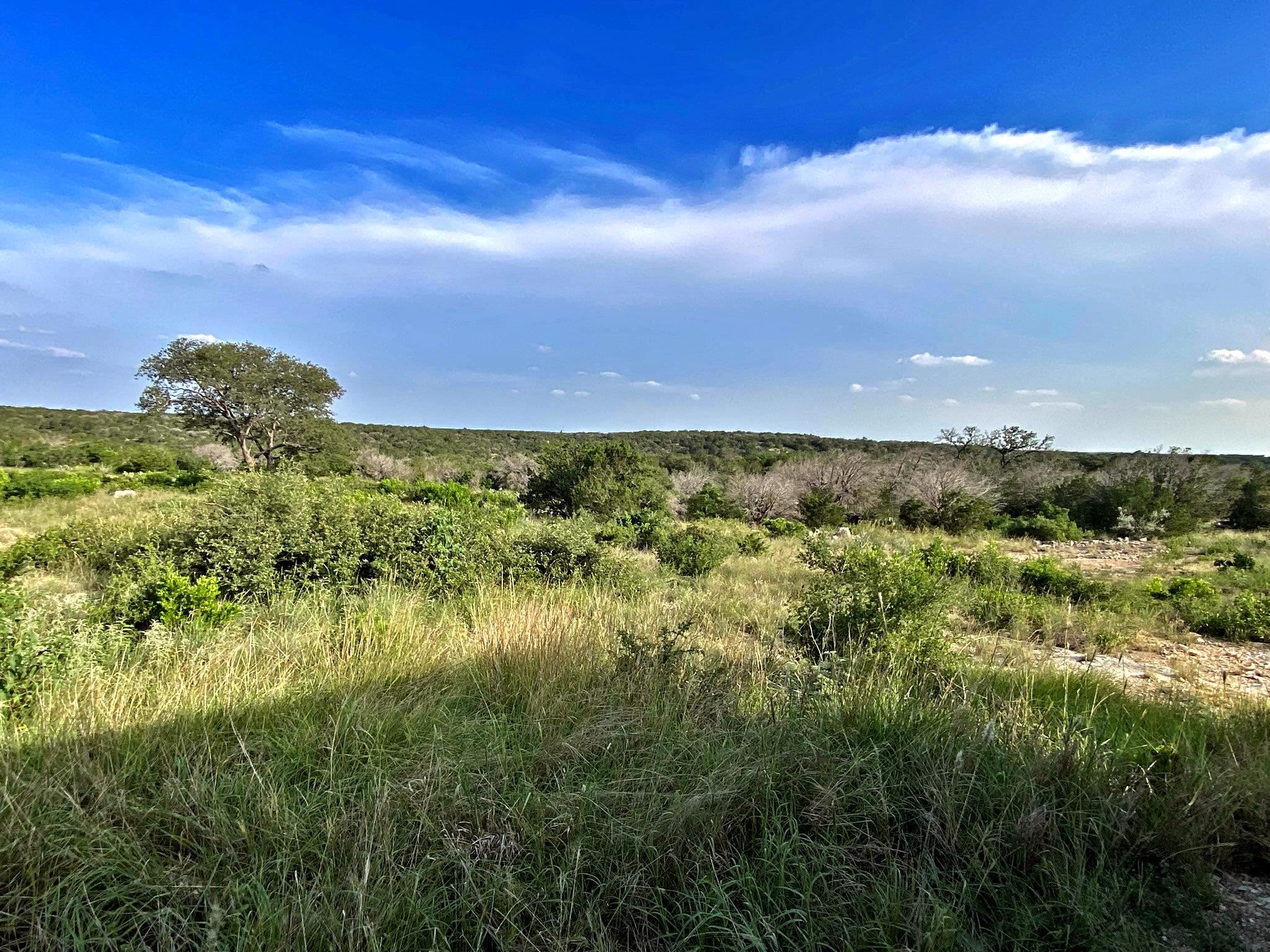 Image 22 of 49 For 000 J S Murry Ranch