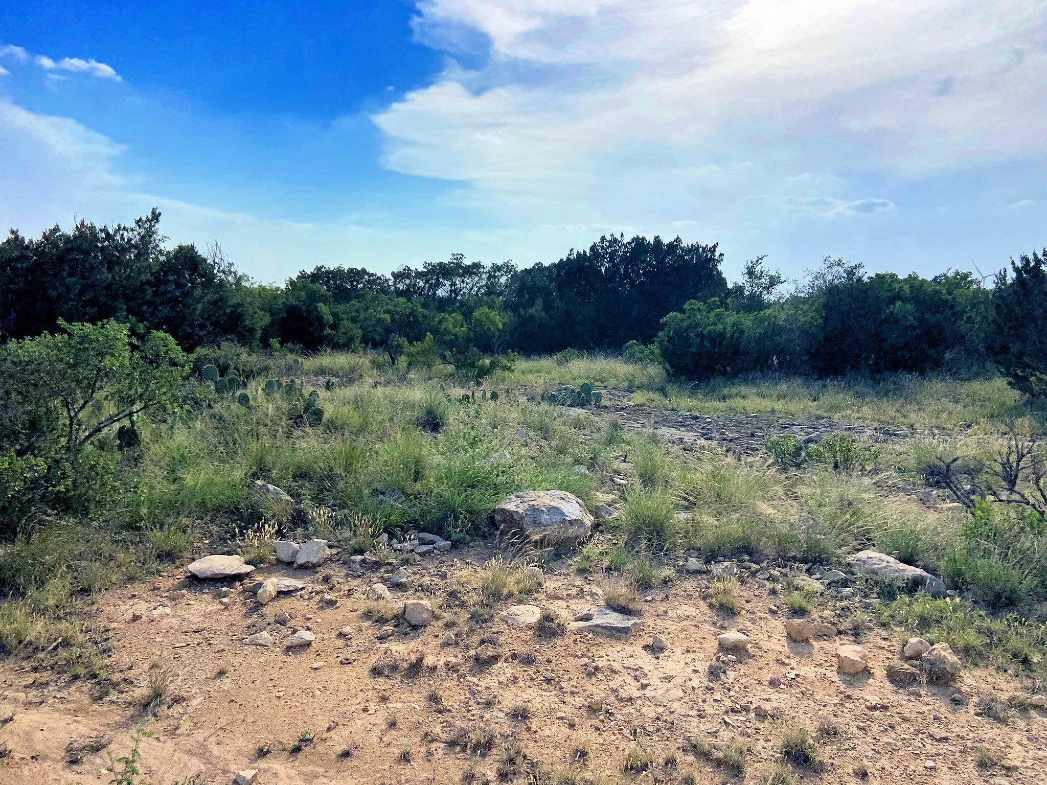 Image 4 of 49 For 000 J S Murry Ranch