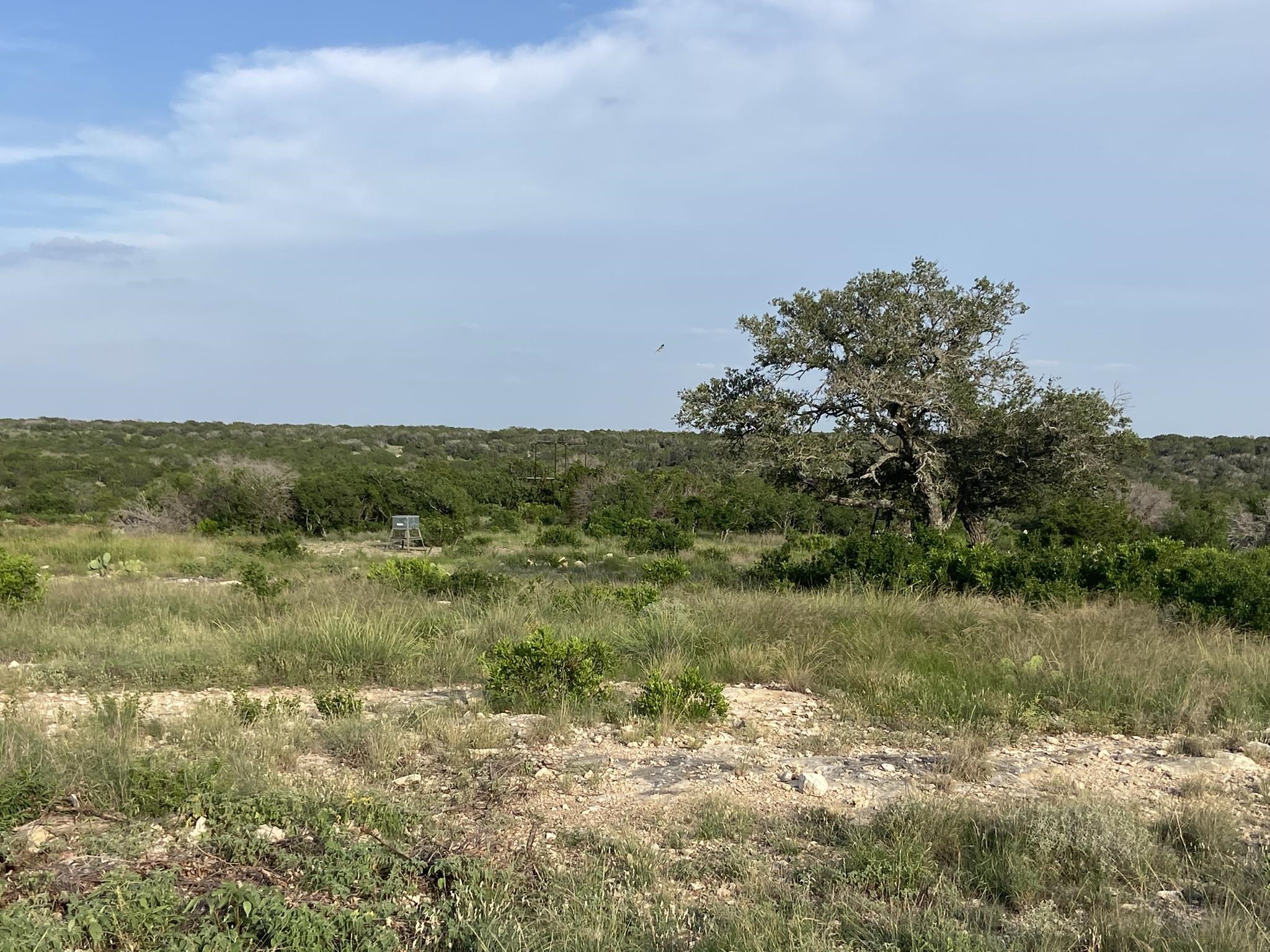 Image 46 of 49 For 000 J S Murry Ranch