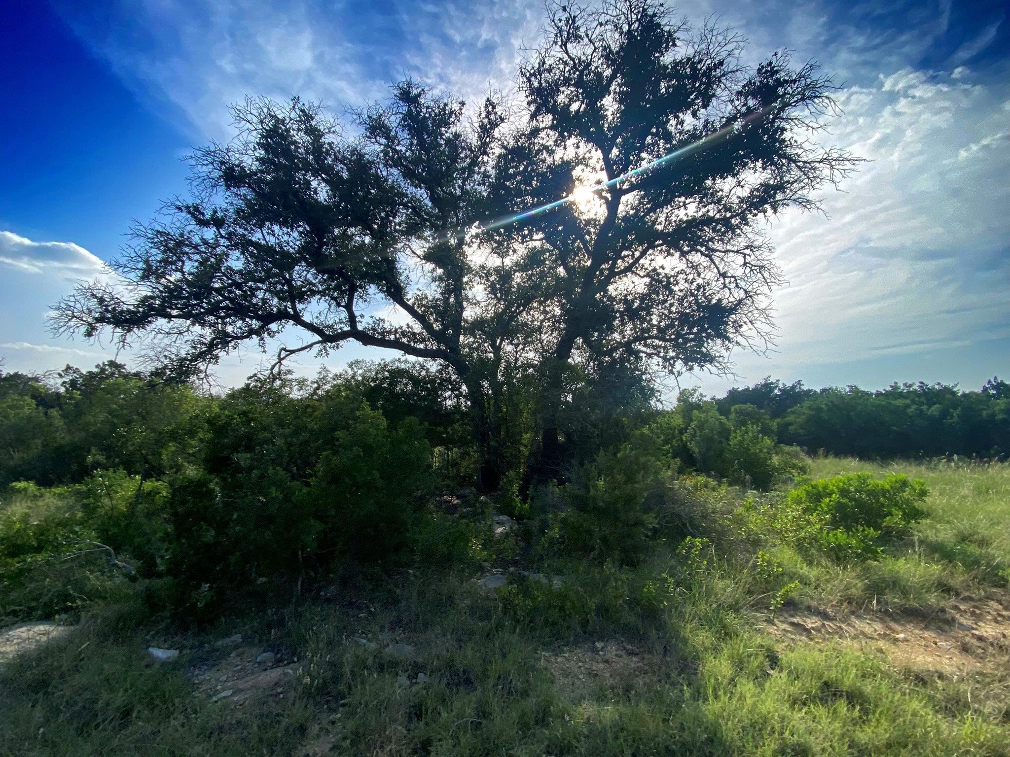 Image 5 of 49 For 000 J S Murry Ranch