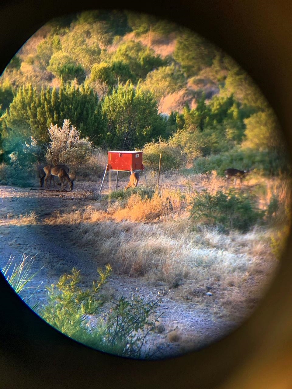 Image 10 of 49 For 1429 Wagon Track