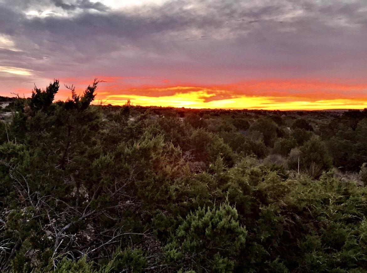 Image 23 of 49 For 1429 Wagon Track