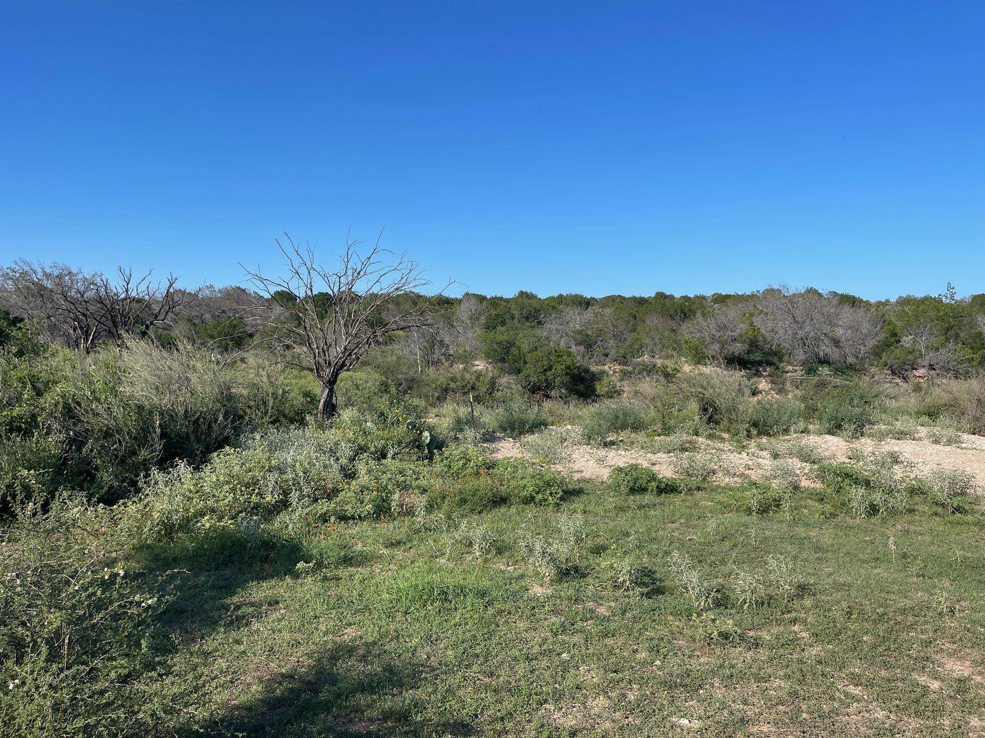 Image 24 of 49 For 1429 Wagon Track