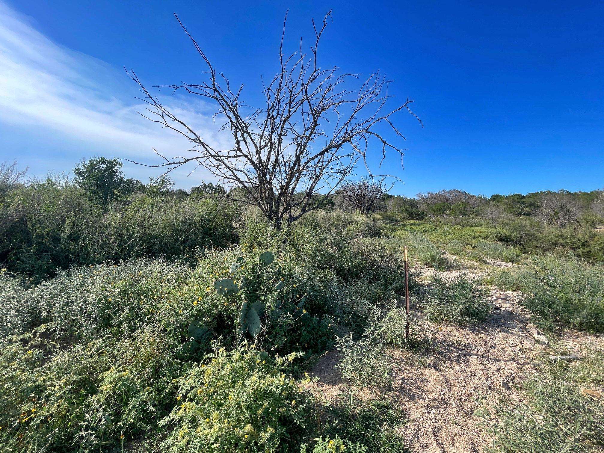 Image 25 of 49 For 1429 Wagon Track