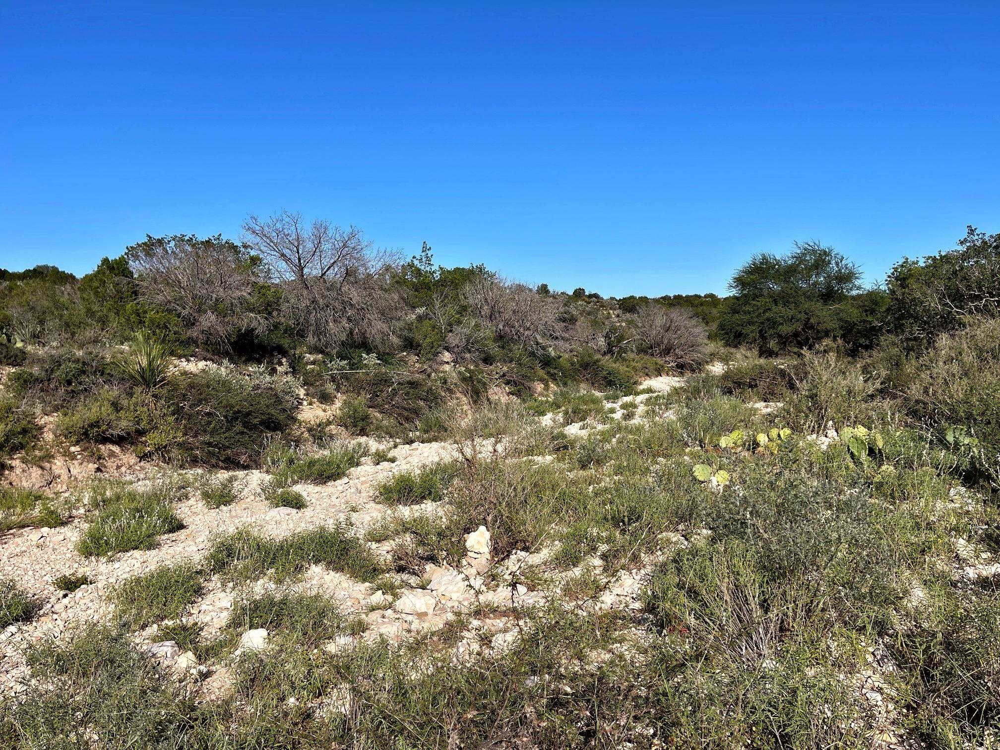 Image 26 of 49 For 1429 Wagon Track