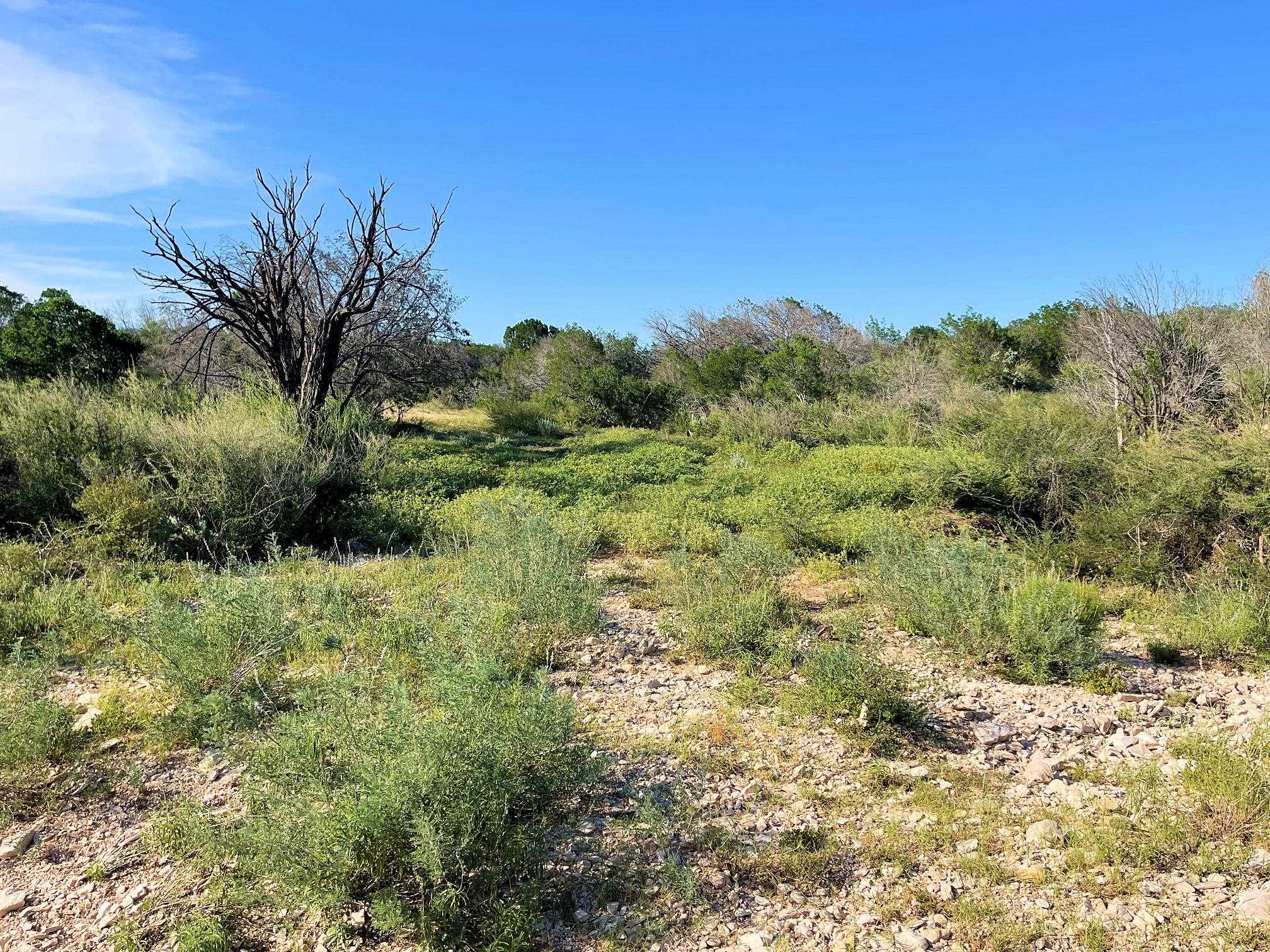 Image 28 of 49 For 1429 Wagon Track