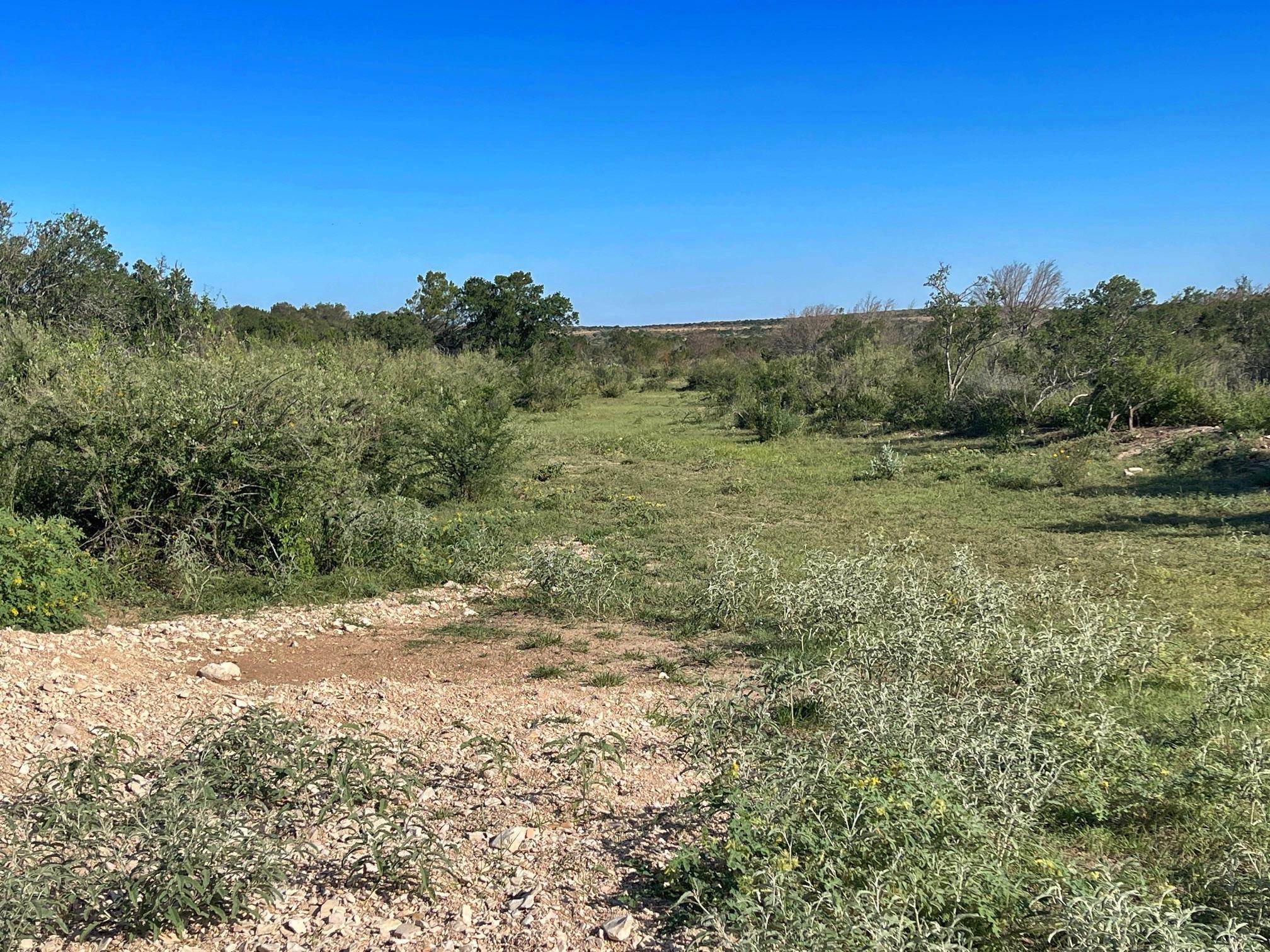 Image 29 of 49 For 1429 Wagon Track