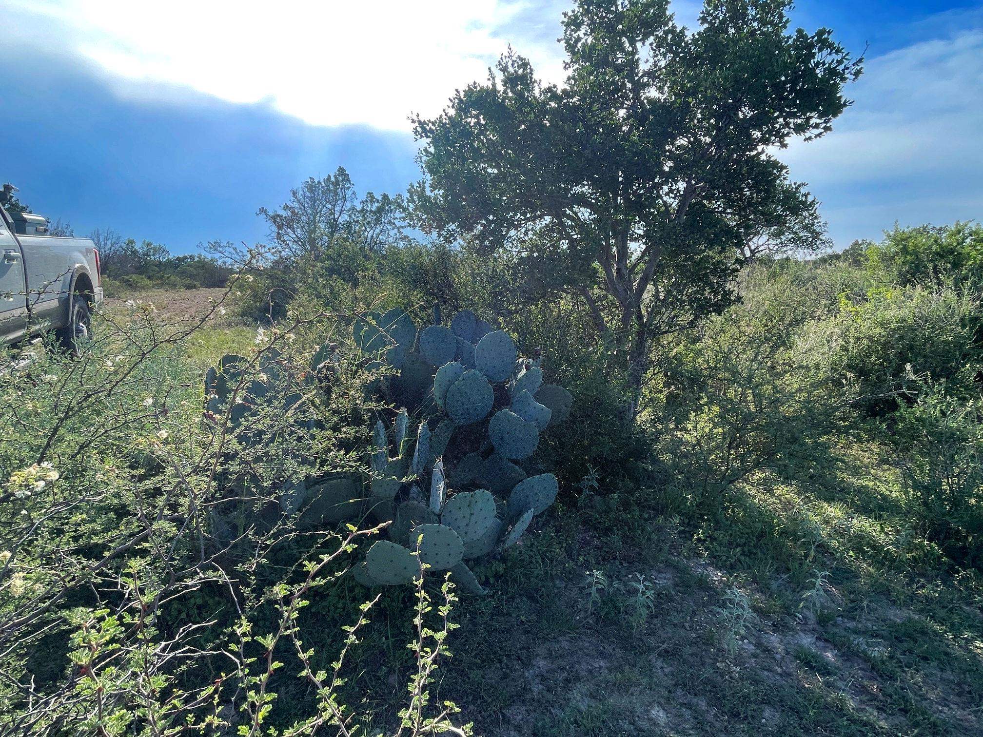 Image 30 of 49 For 1429 Wagon Track