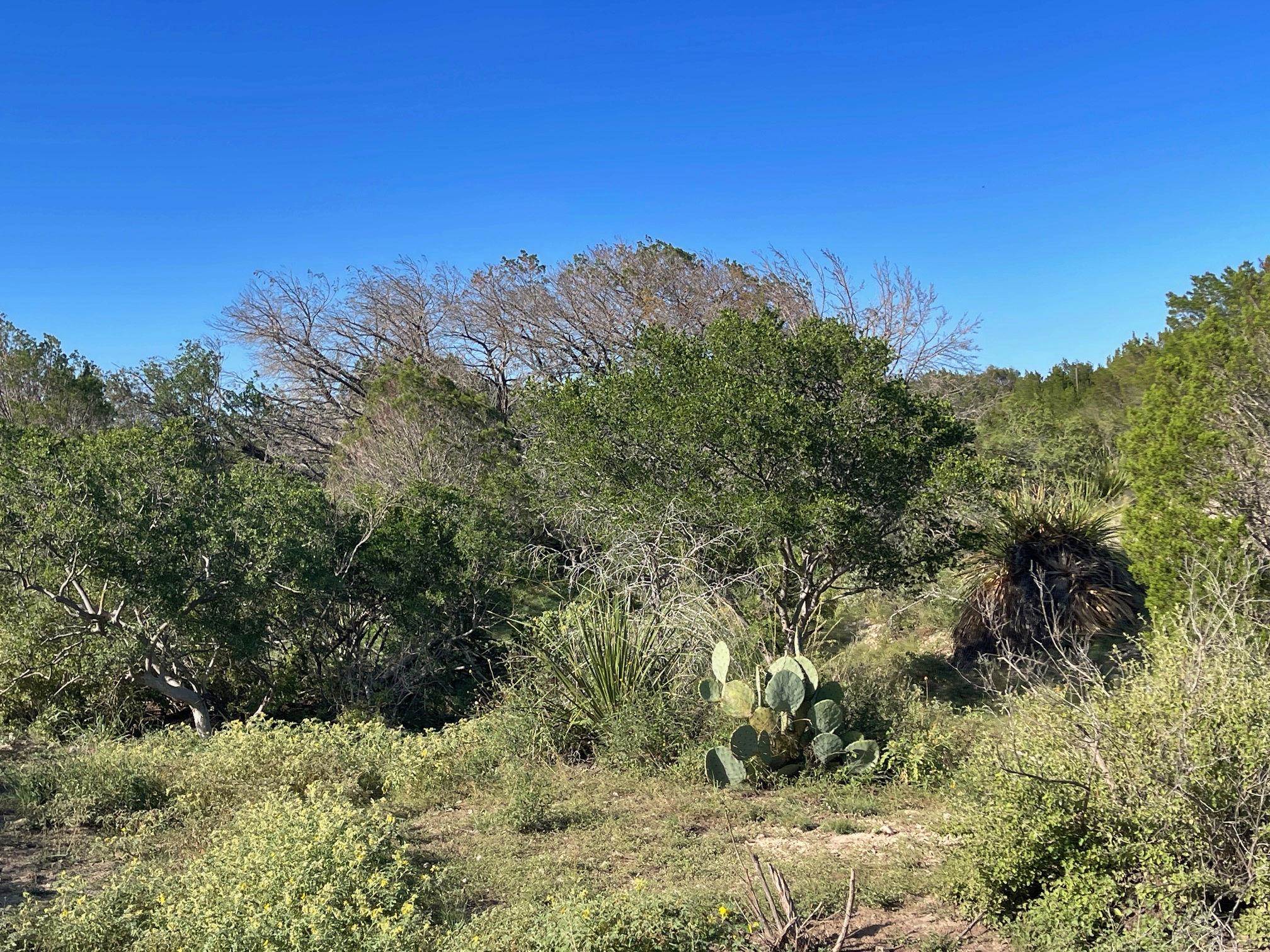 Image 31 of 49 For 1429 Wagon Track