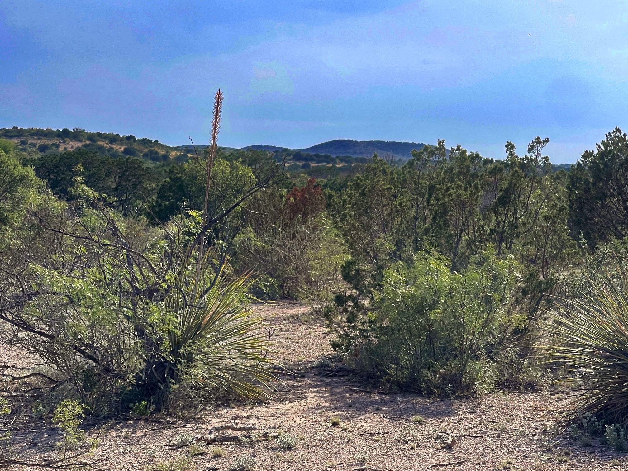 Image 32 of 49 For 1429 Wagon Track