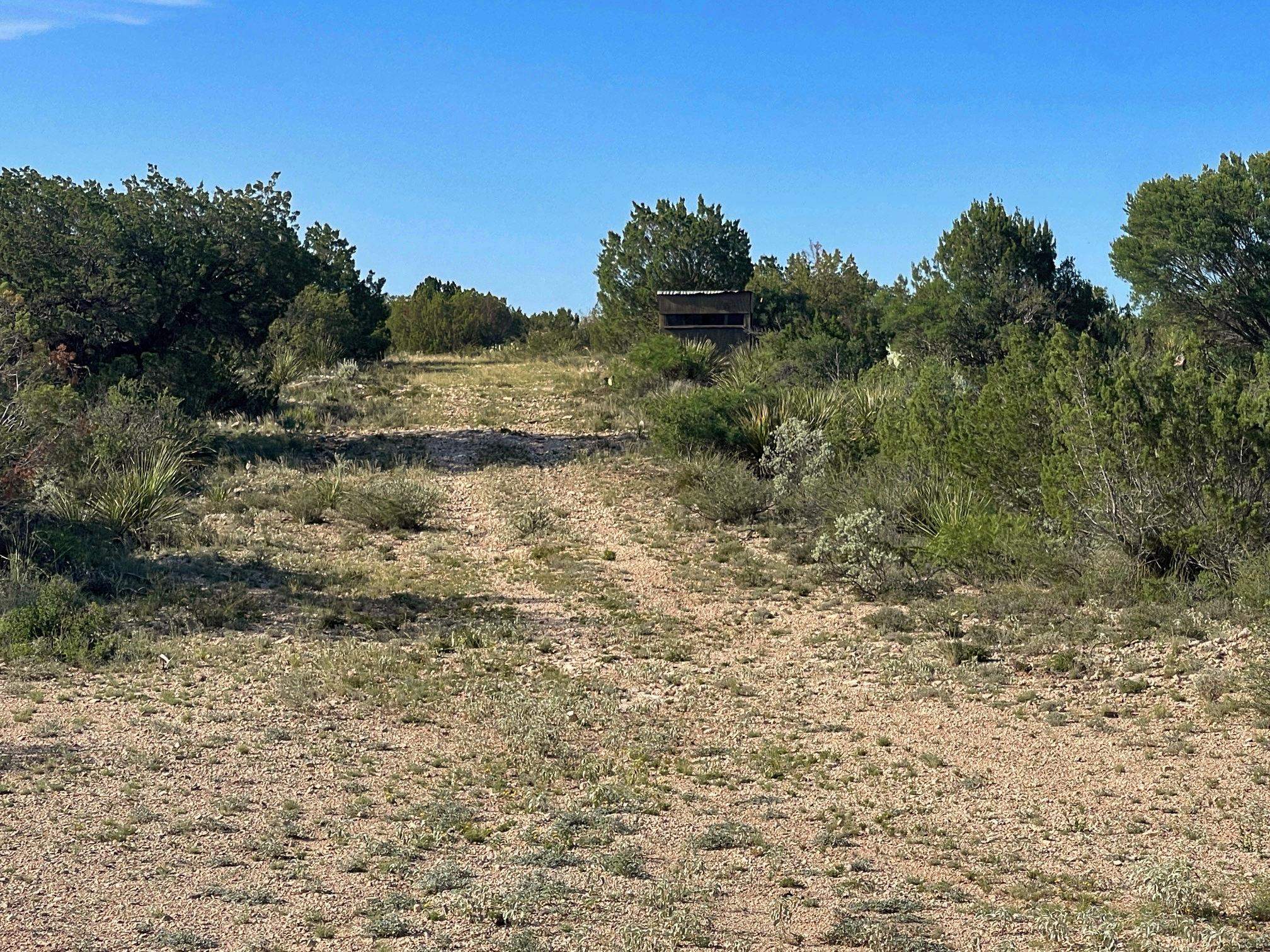 Image 34 of 49 For 1429 Wagon Track