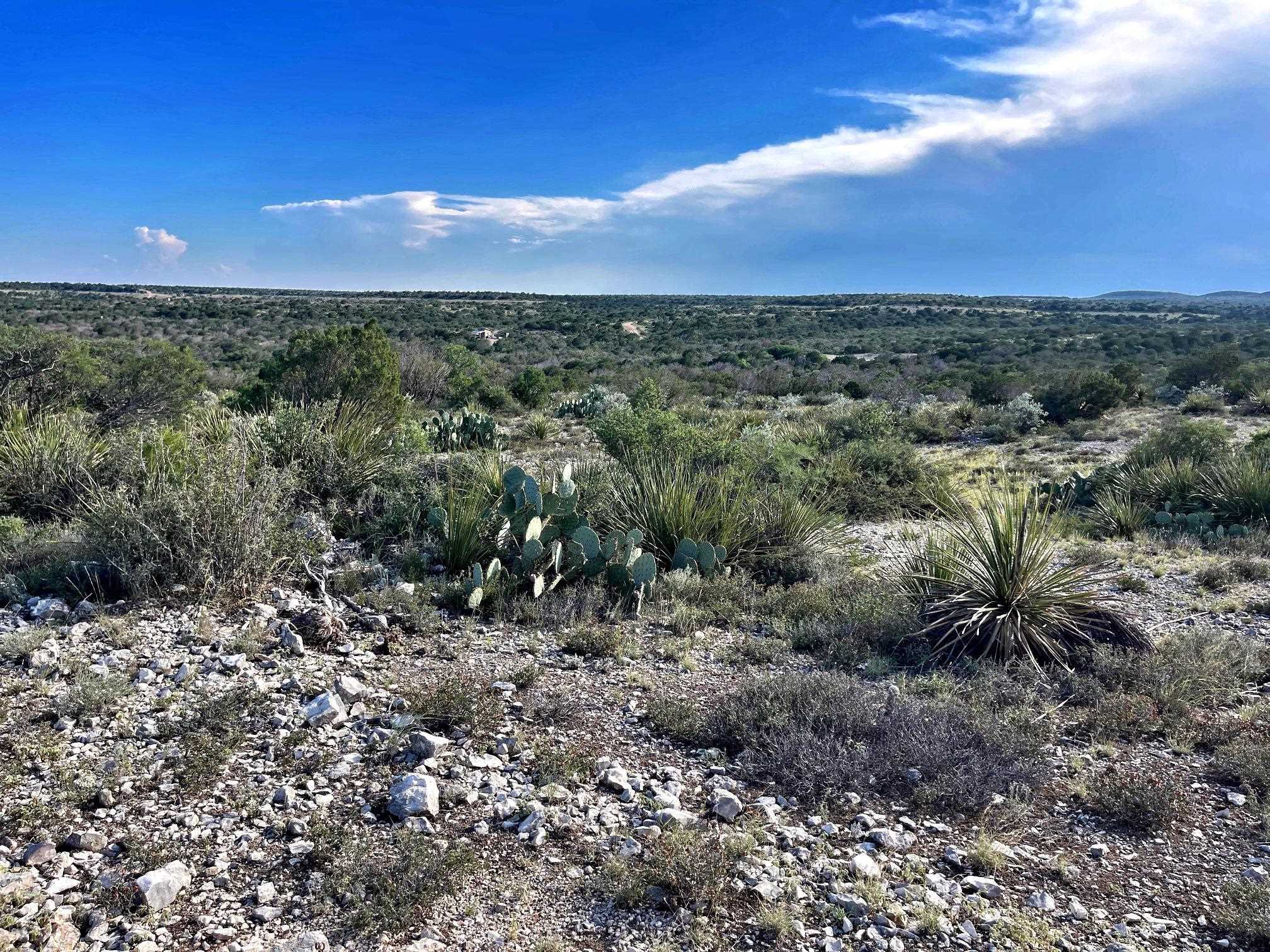 Image 35 of 49 For 1429 Wagon Track
