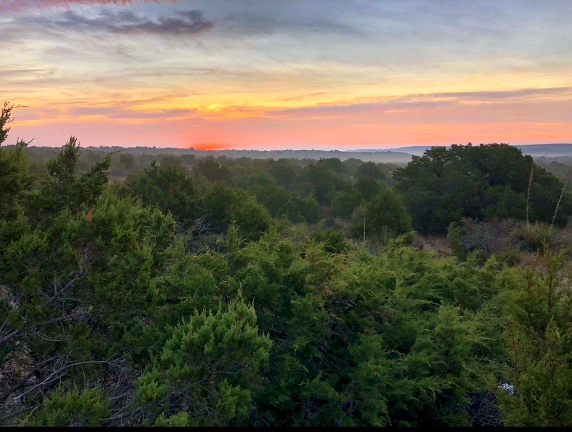 Image 36 of 49 For 1429 Wagon Track