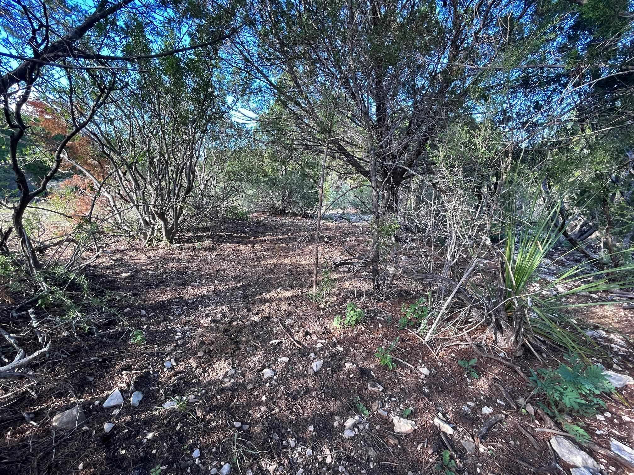 Image 37 of 49 For 1429 Wagon Track